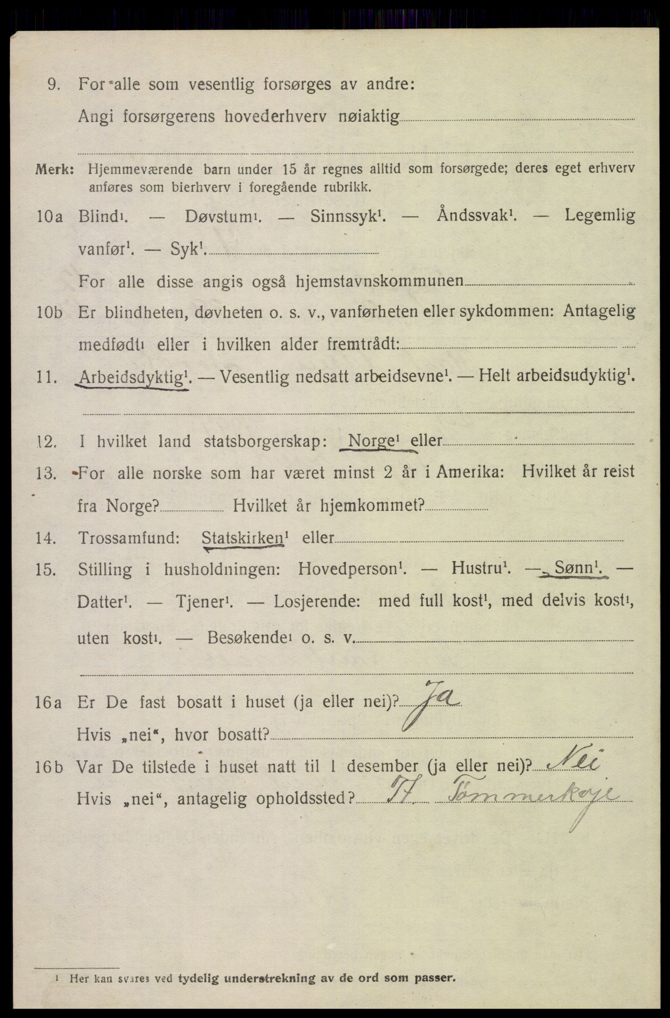 SAH, 1920 census for Trysil, 1920, p. 7132