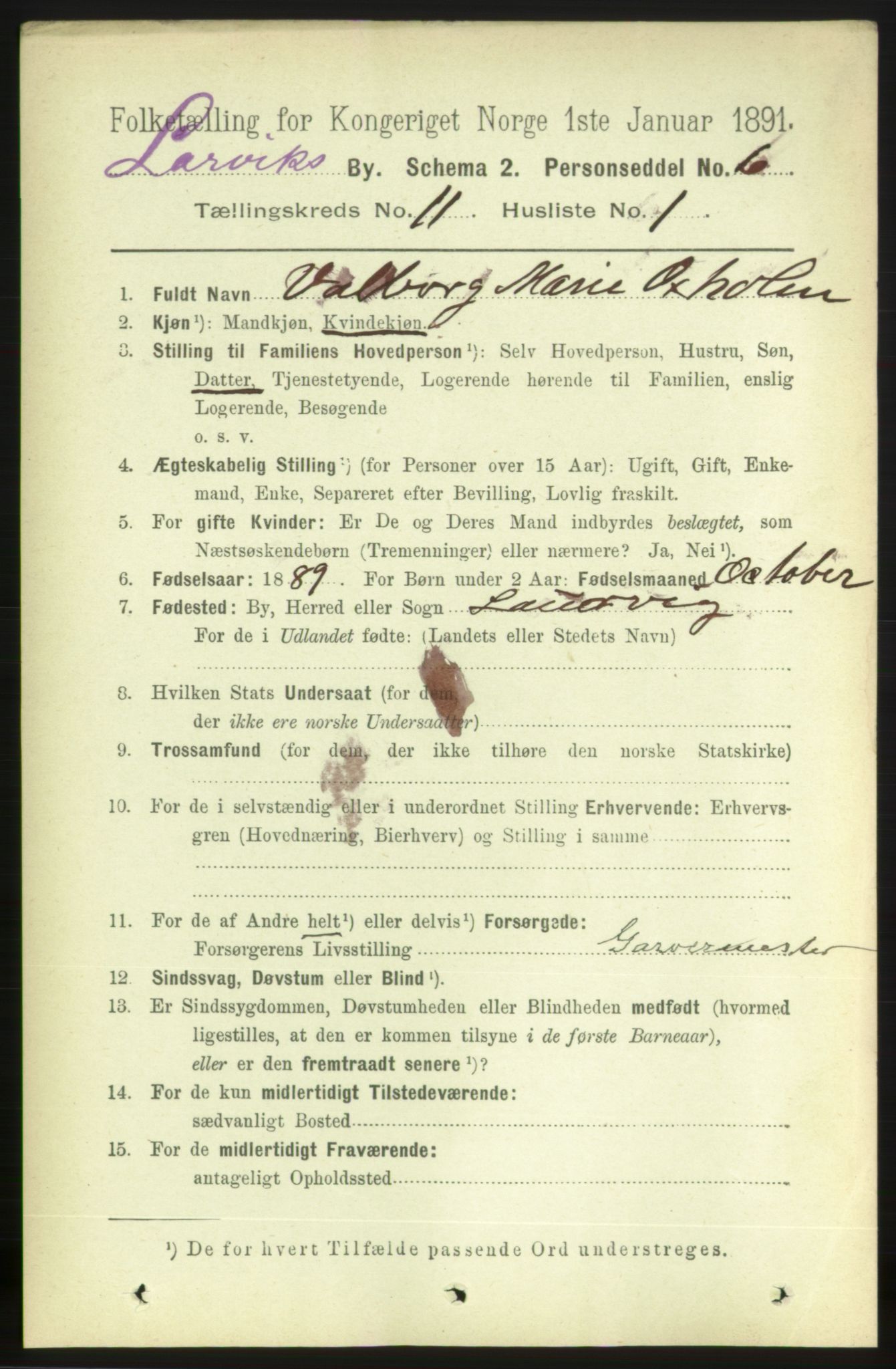 RA, 1891 census for 0707 Larvik, 1891, p. 9616