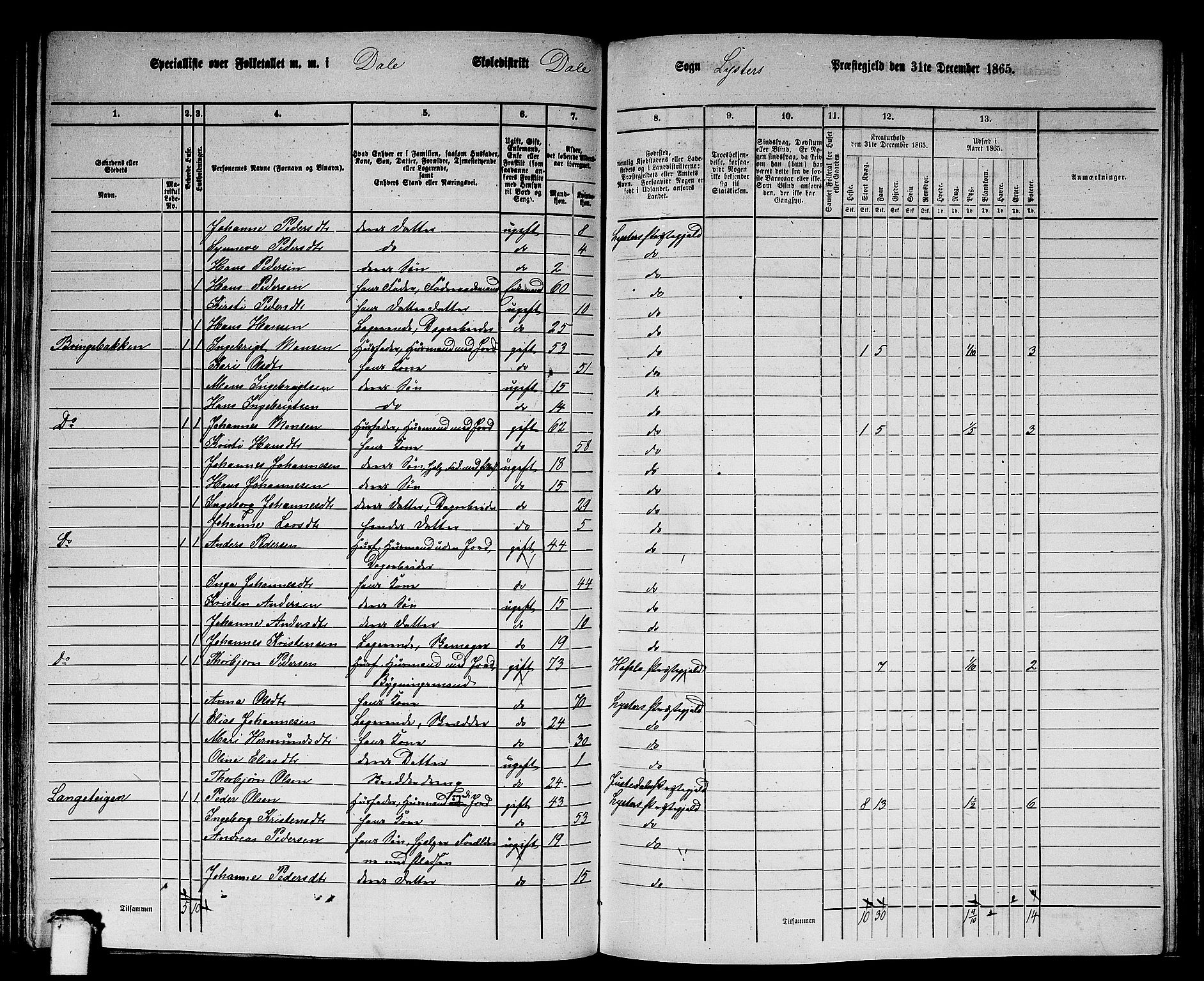 RA, 1865 census for Luster, 1865, p. 94