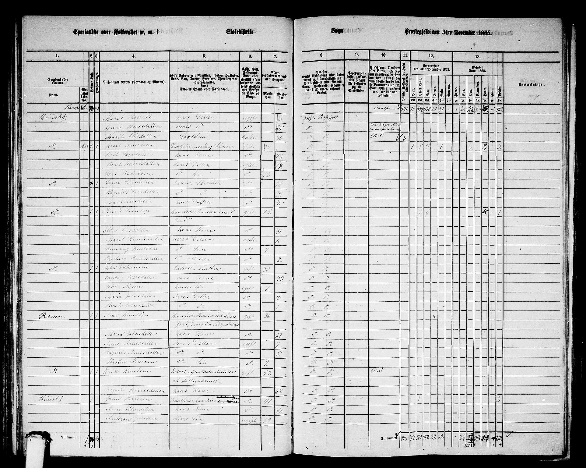 RA, 1865 census for Nesset, 1865, p. 113