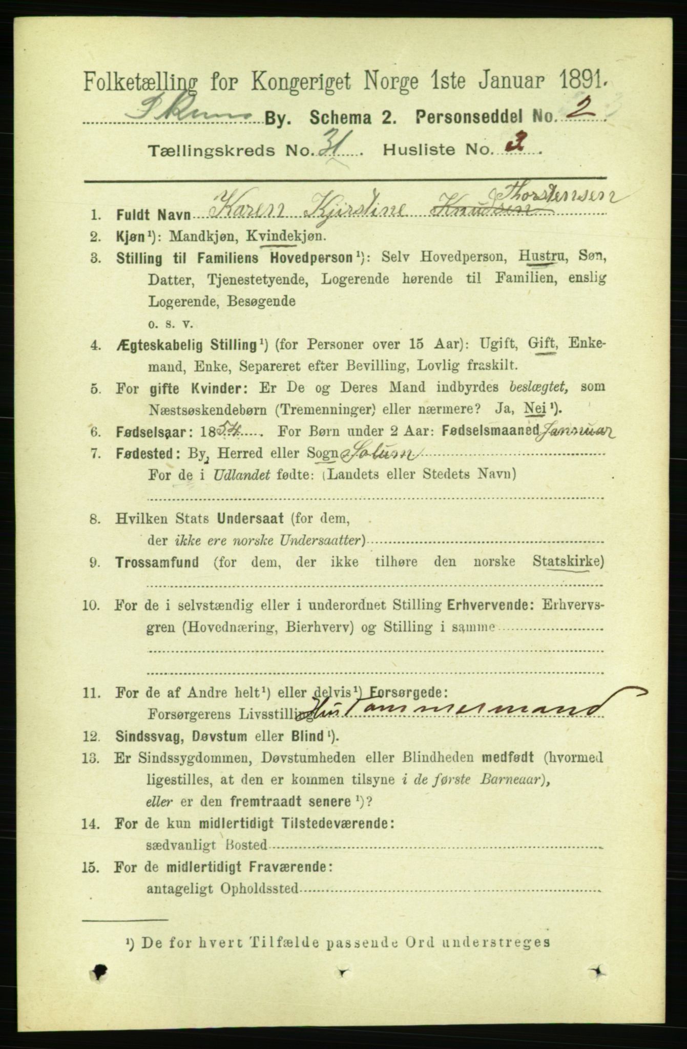 RA, 1891 census for 0806 Skien, 1891, p. 7047