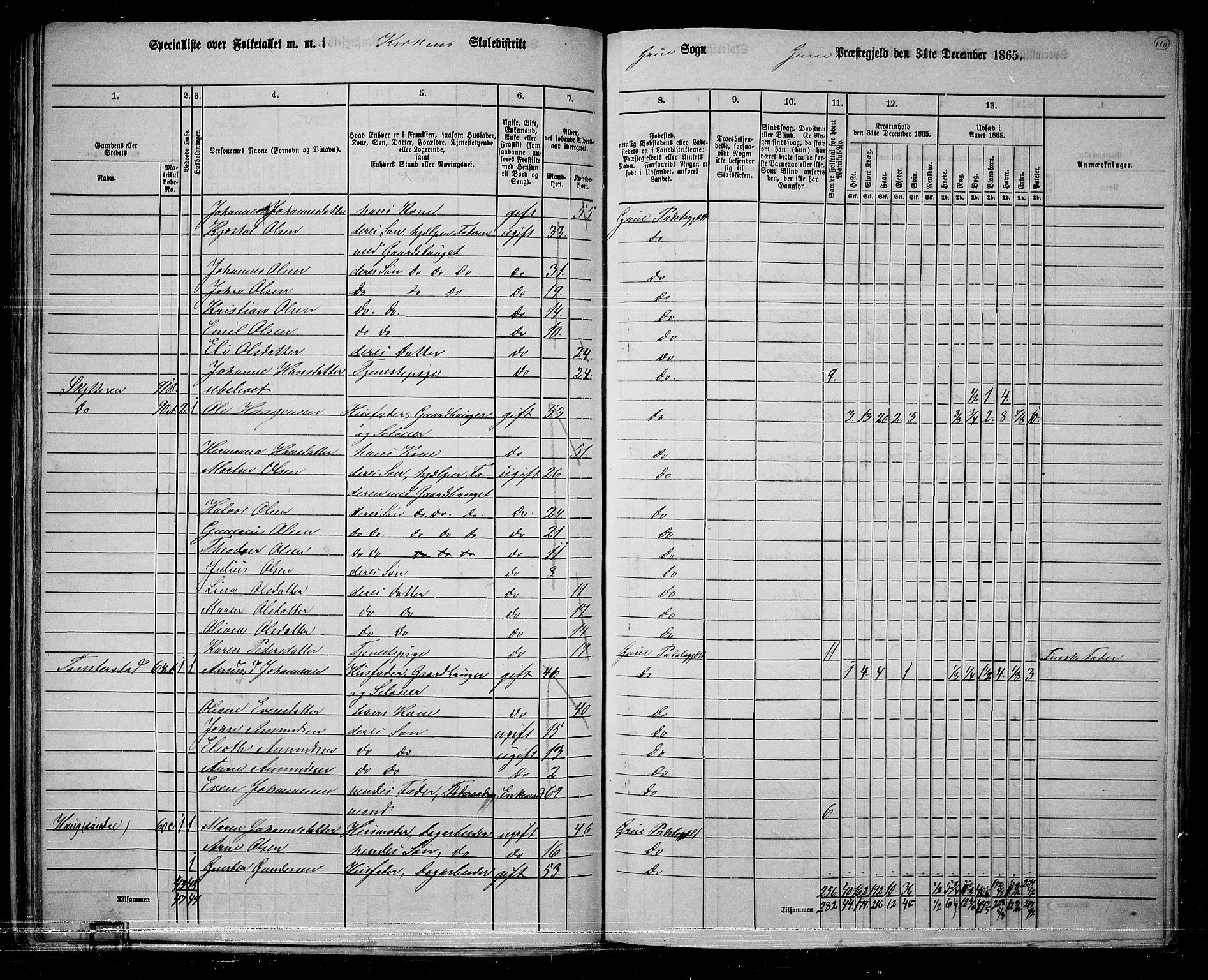 RA, 1865 census for Grue, 1865, p. 94