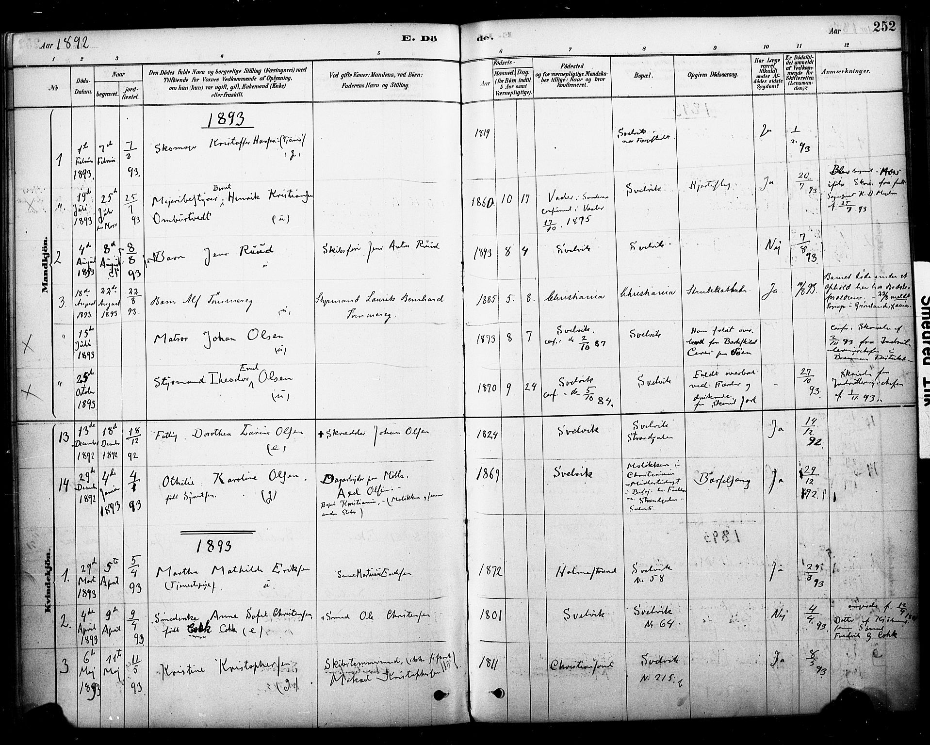 Strømm kirkebøker, AV/SAKO-A-322/F/Fb/L0001: Parish register (official) no. II 1, 1878-1899, p. 252