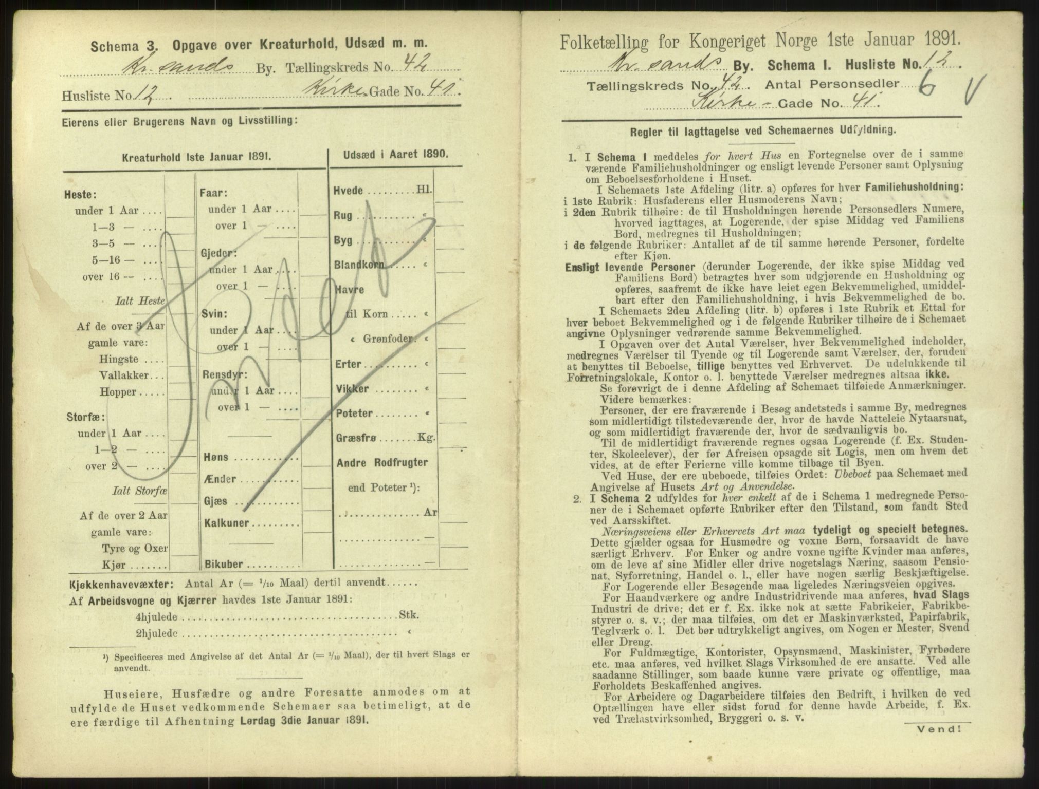 RA, 1891 census for 1001 Kristiansand, 1891, p. 2304