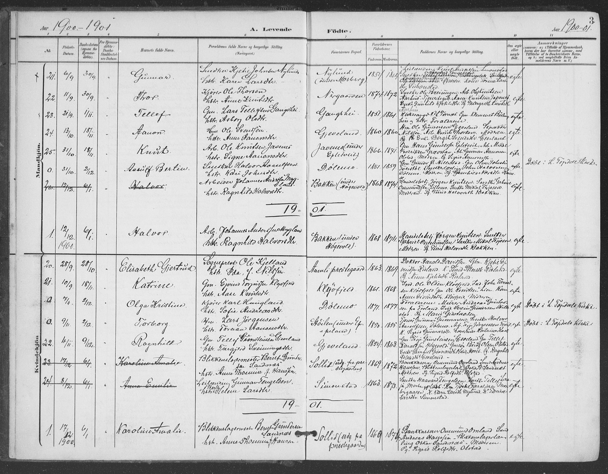 Åmli sokneprestkontor, SAK/1111-0050/F/Fa/Fac/L0012: Parish register (official) no. A 12, 1900-1914, p. 3