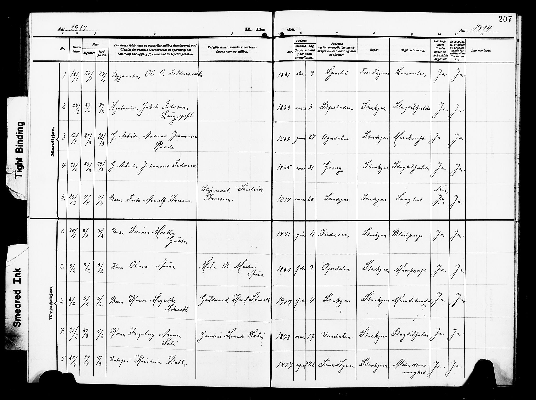 Ministerialprotokoller, klokkerbøker og fødselsregistre - Nord-Trøndelag, SAT/A-1458/739/L0376: Parish register (copy) no. 739C04, 1908-1917, p. 207