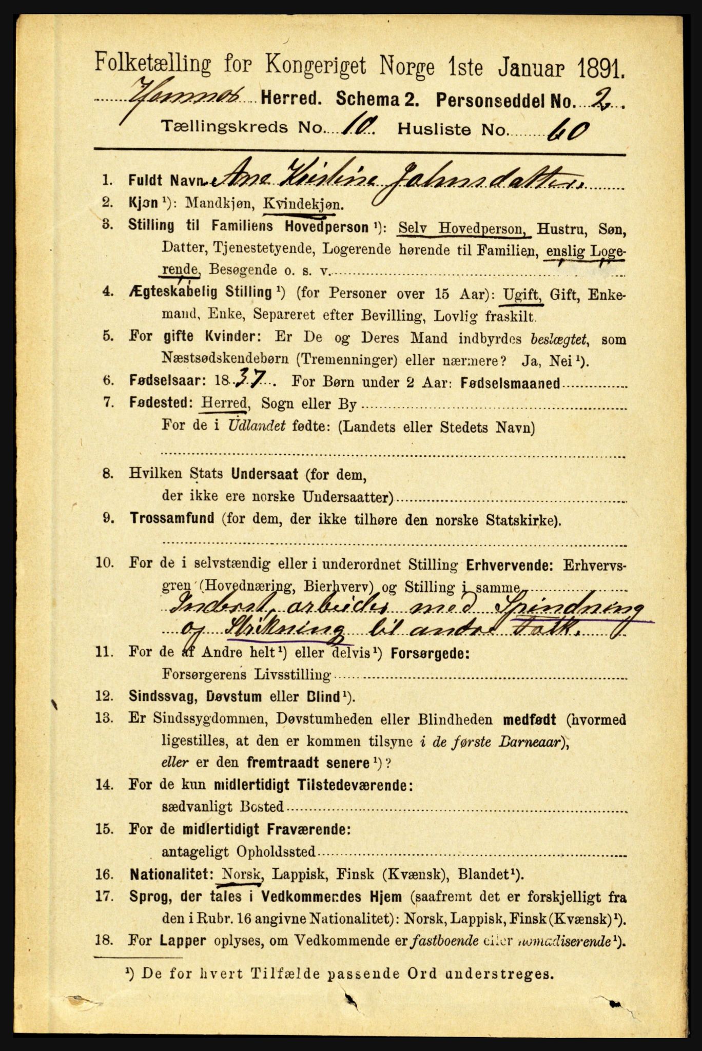 RA, 1891 census for 1832 Hemnes, 1891, p. 5241