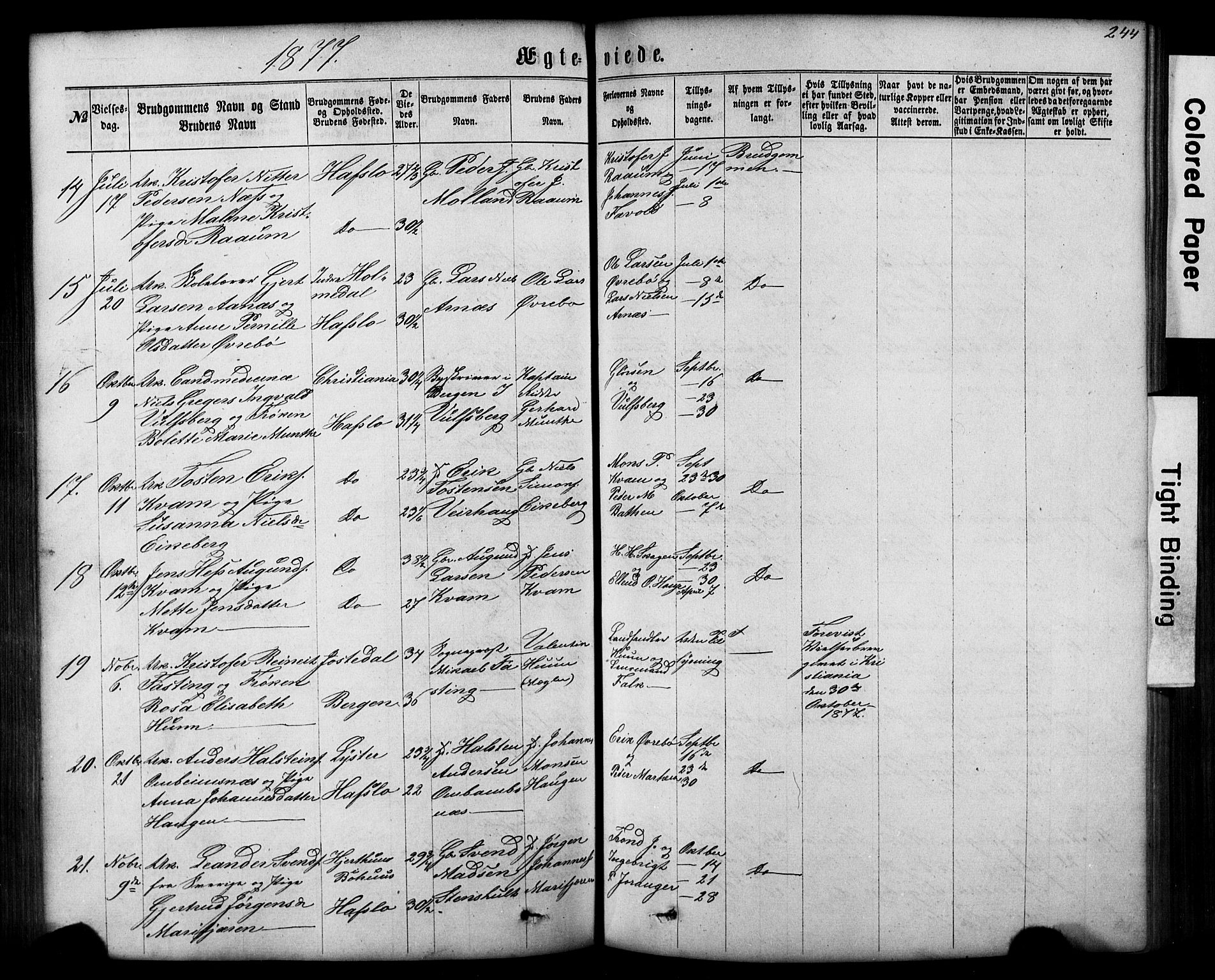 Hafslo sokneprestembete, AV/SAB-A-80301/H/Hab/Haba/L0001: Parish register (copy) no. A 1, 1866-1908, p. 244