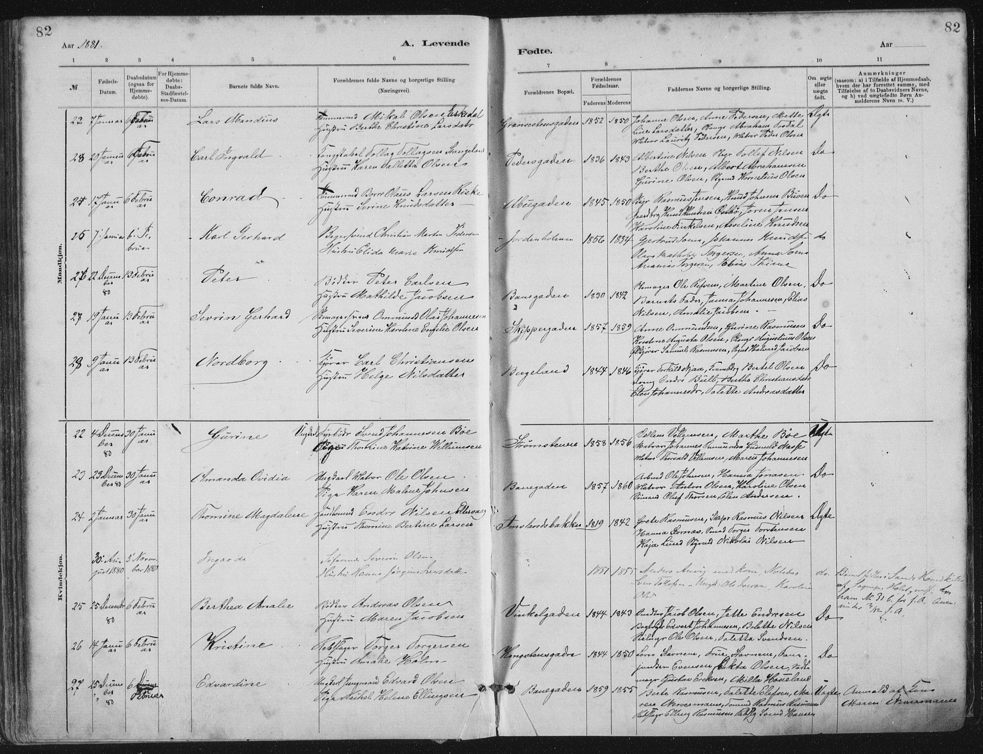 St. Petri sokneprestkontor, SAST/A-101813/001/30/30BA/L0015: Parish register (official) no. A 15, 1879-1888, p. 82