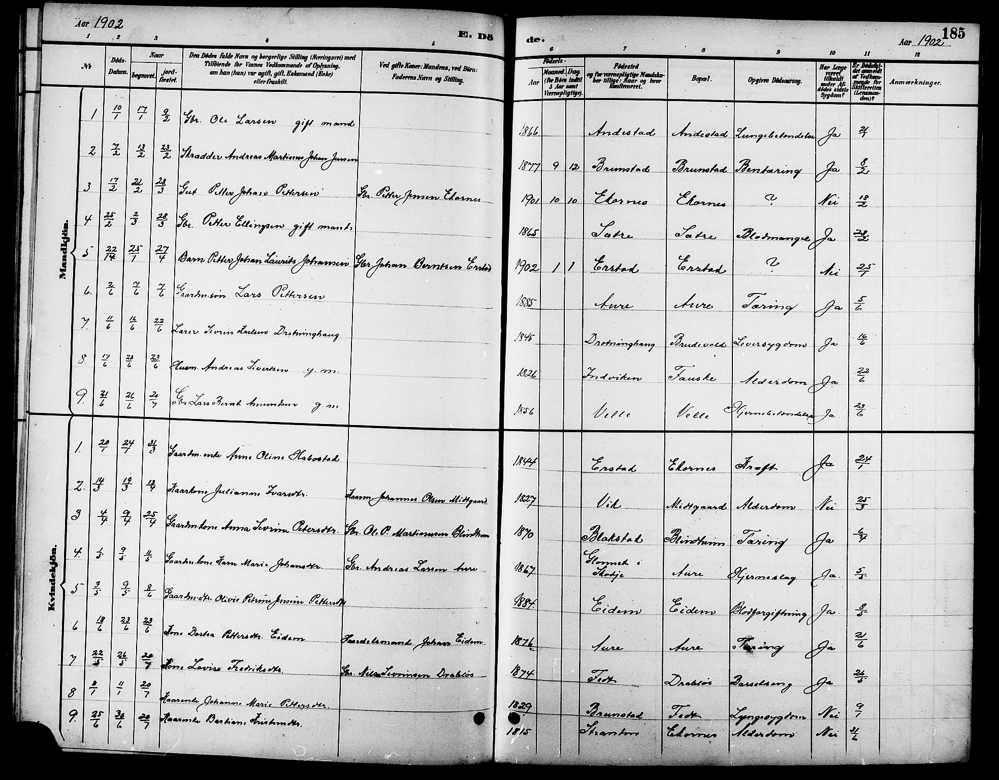 Ministerialprotokoller, klokkerbøker og fødselsregistre - Møre og Romsdal, AV/SAT-A-1454/523/L0340: Parish register (copy) no. 523C03, 1892-1902, p. 185