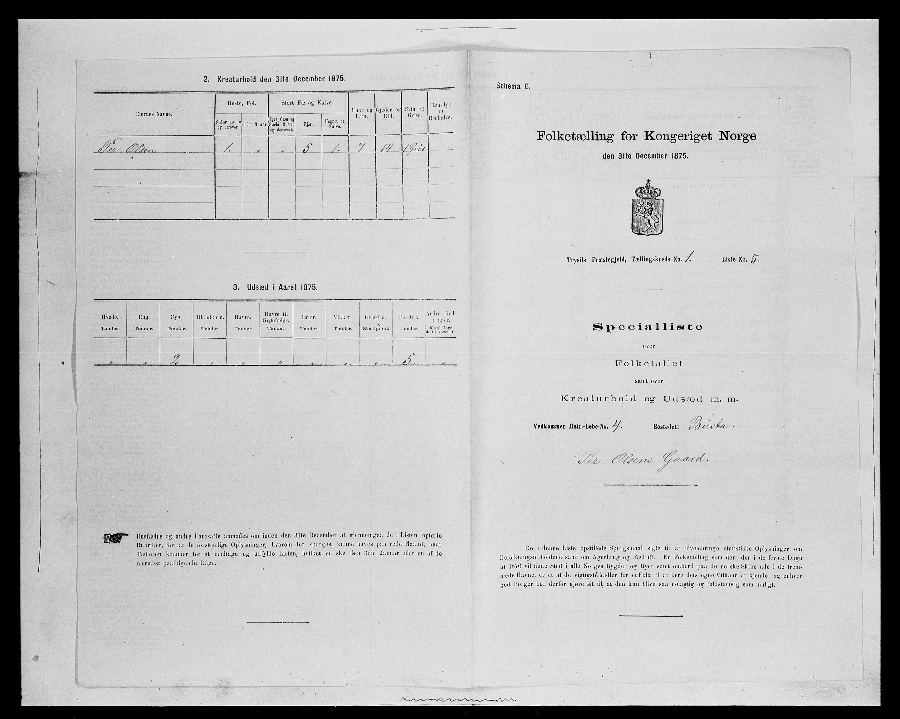 SAH, 1875 census for 0428P Trysil, 1875, p. 133