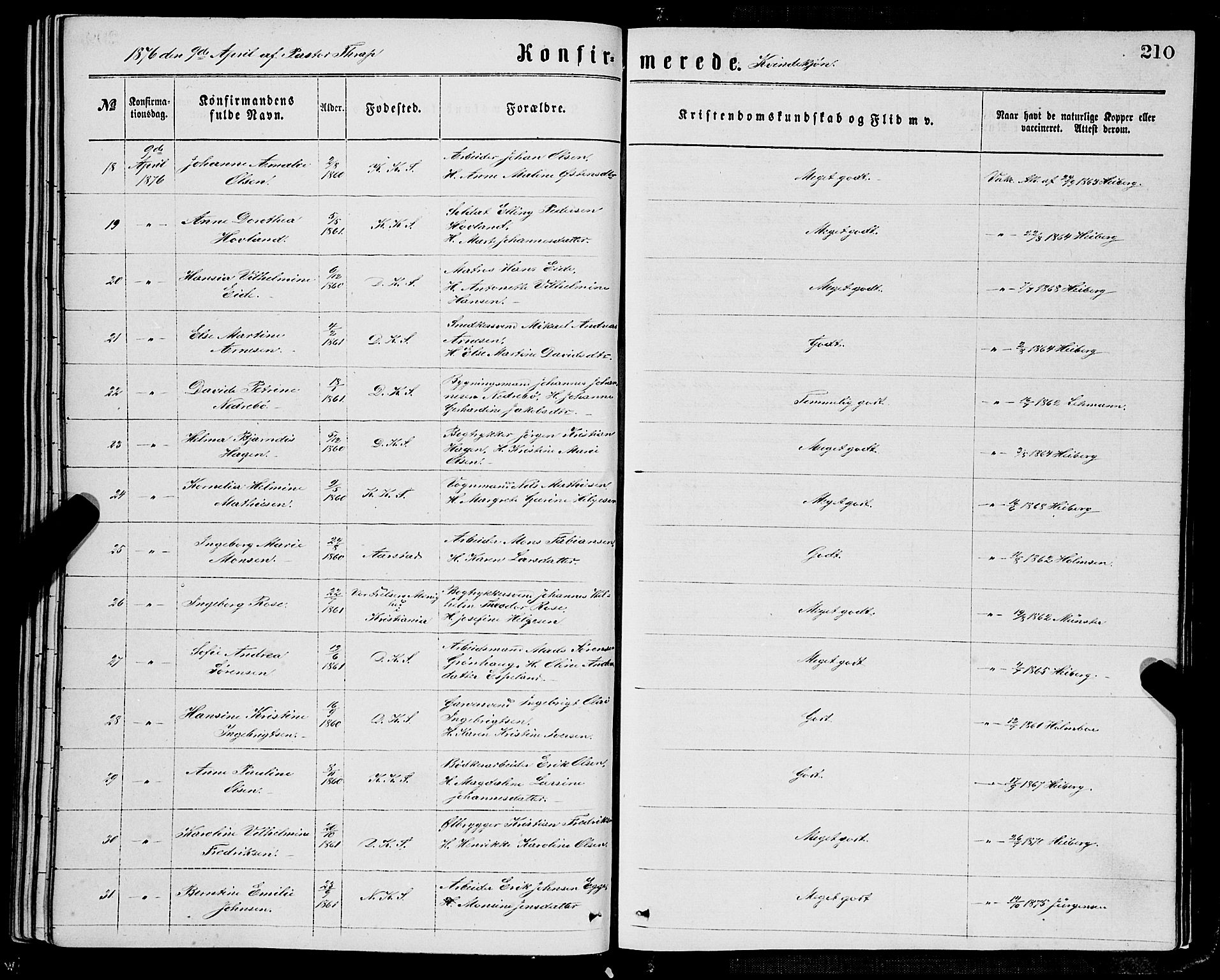 Domkirken sokneprestembete, AV/SAB-A-74801/H/Haa/L0029: Parish register (official) no. C 4, 1864-1879, p. 210