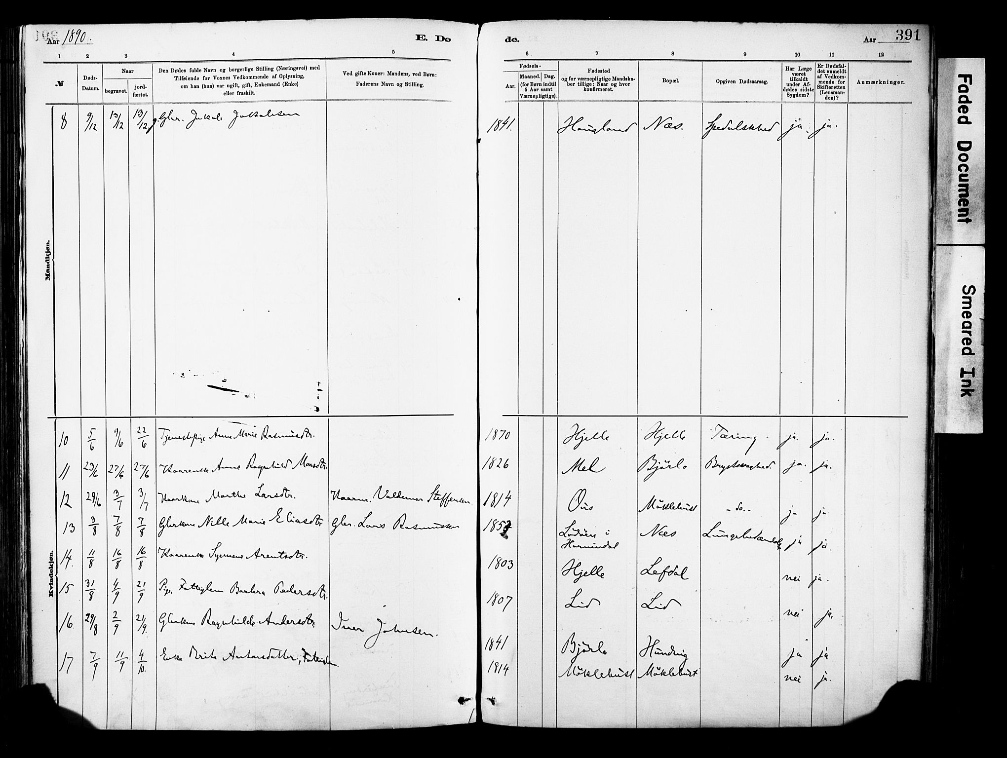 Eid sokneprestembete, AV/SAB-A-82301/H/Haa/Haab/L0001: Parish register (official) no. B 1, 1879-1906, p. 391