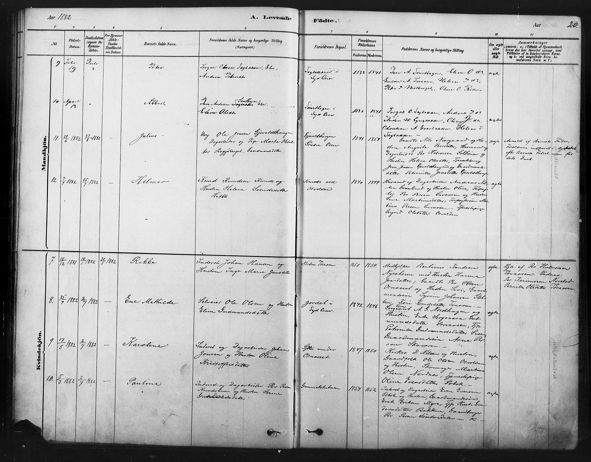 Åmot prestekontor, Hedmark, AV/SAH-PREST-056/H/Ha/Haa/L0012: Parish register (official) no. 12, 1878-1901, p. 20