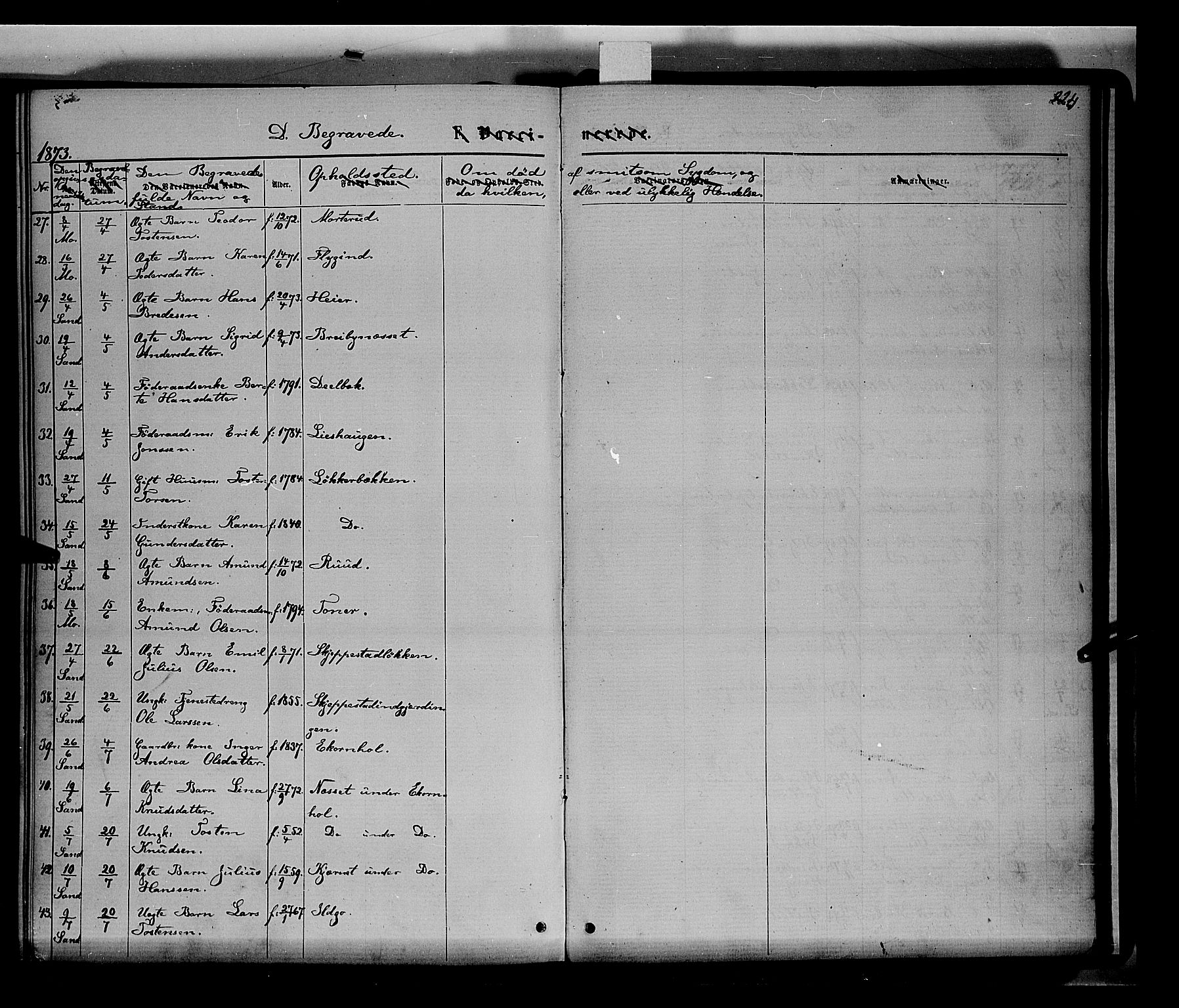 Nord-Odal prestekontor, AV/SAH-PREST-032/H/Ha/Haa/L0004: Parish register (official) no. 4, 1866-1873, p. 224