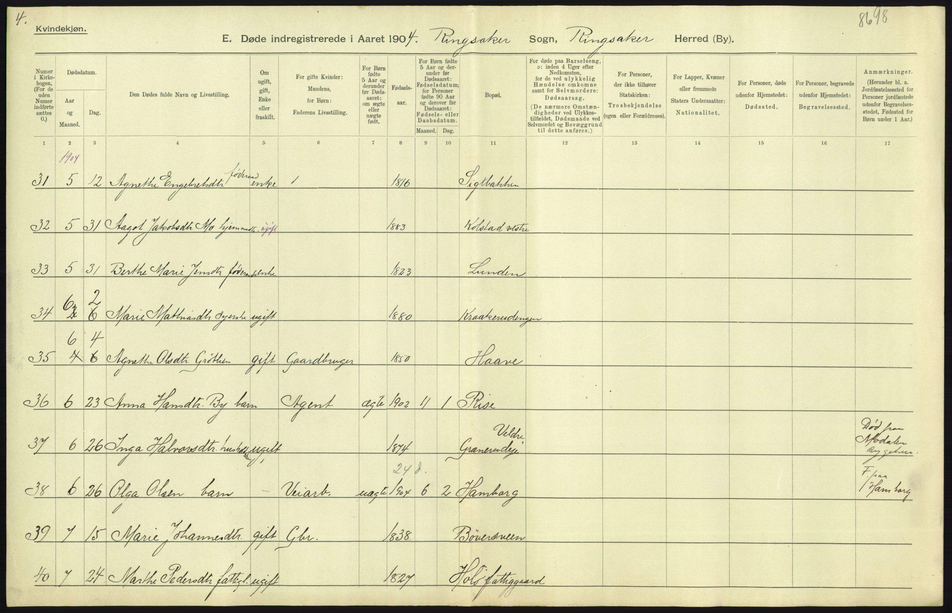 Statistisk sentralbyrå, Sosiodemografiske emner, Befolkning, AV/RA-S-2228/D/Df/Dfa/Dfab/L0005: Hedemarkens amt: Fødte, gifte, døde, 1904, p. 653