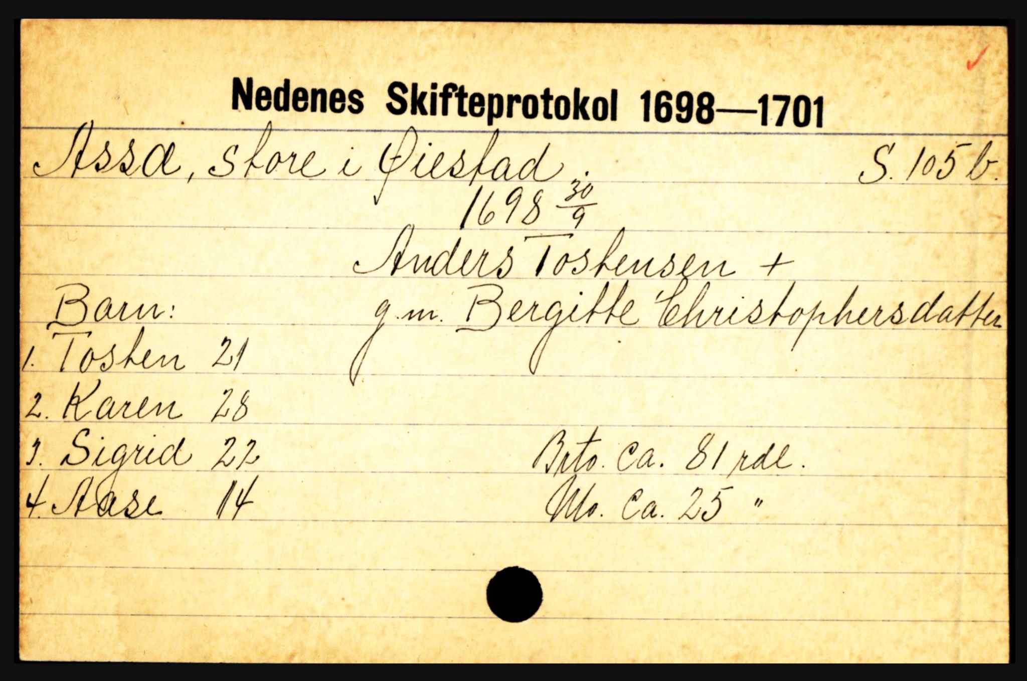 Nedenes sorenskriveri før 1824, AV/SAK-1221-0007/H, p. 1267