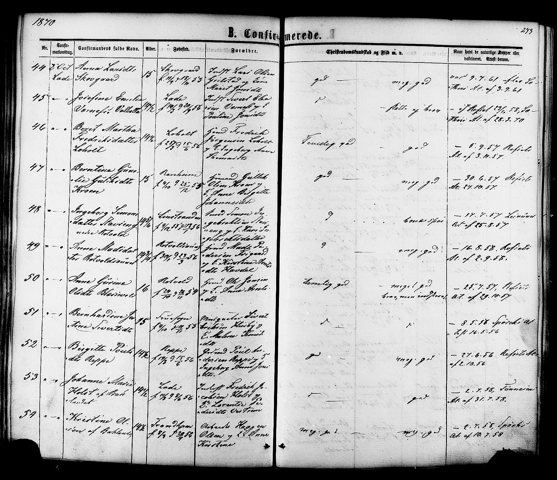 Ministerialprotokoller, klokkerbøker og fødselsregistre - Sør-Trøndelag, SAT/A-1456/606/L0293: Parish register (official) no. 606A08, 1866-1877, p. 243