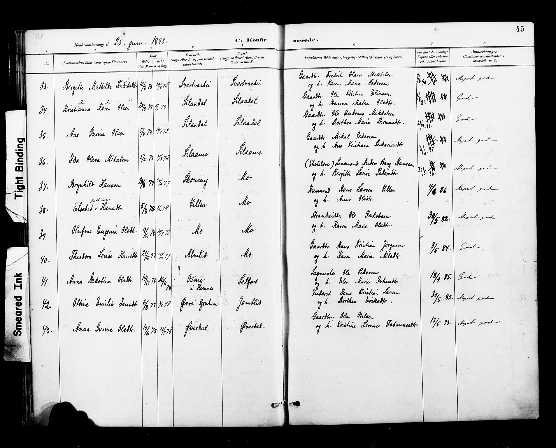 Ministerialprotokoller, klokkerbøker og fødselsregistre - Nordland, AV/SAT-A-1459/827/L0401: Parish register (official) no. 827A13, 1887-1905, p. 45