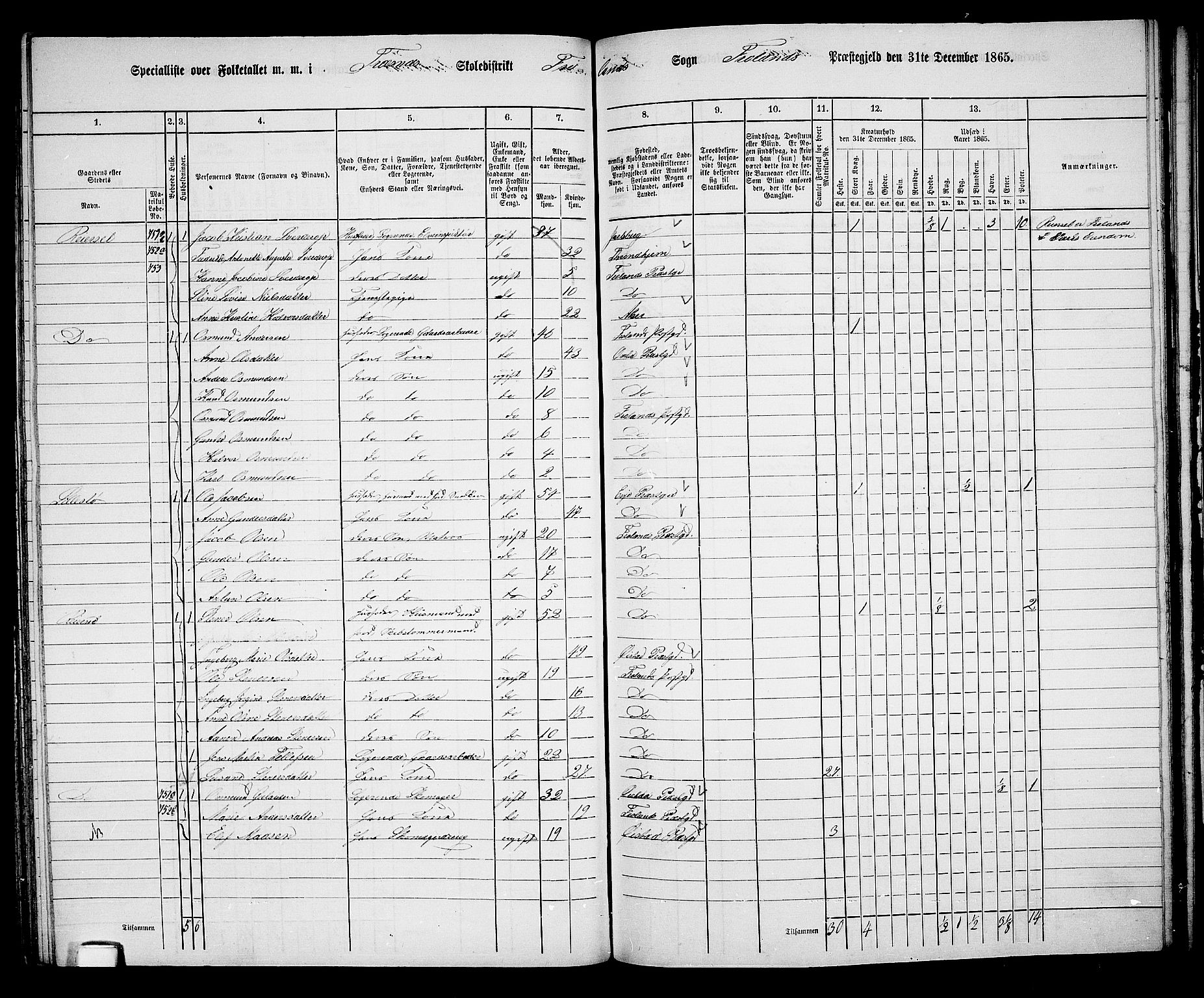 RA, 1865 census for Froland, 1865, p. 54