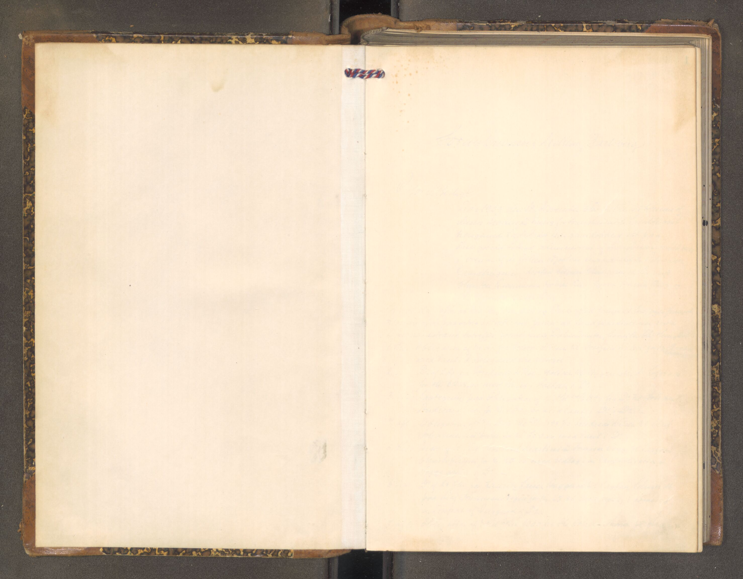 Mellom Jarlsberg sorenskriveri, AV/SAKO-A-132/F/Fa/Faa/L0013: Tingbok, 1903-1906