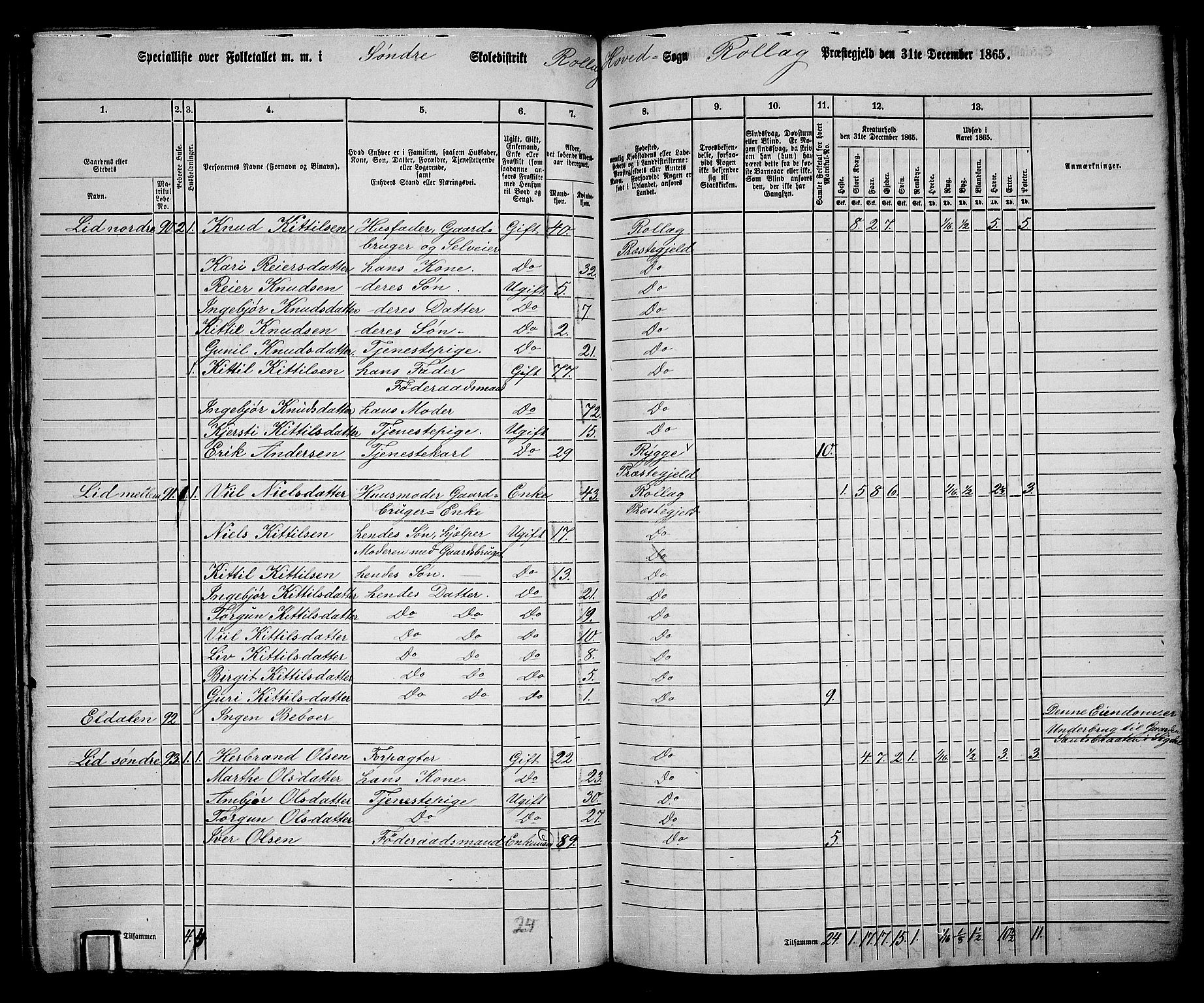 RA, 1865 census for Rollag, 1865, p. 7