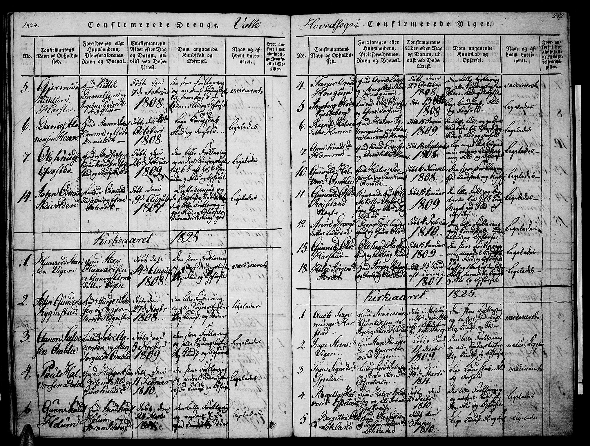 Valle sokneprestkontor, SAK/1111-0044/F/Fa/Fac/L0005: Parish register (official) no. A 5 /1, 1816-1831, p. 252