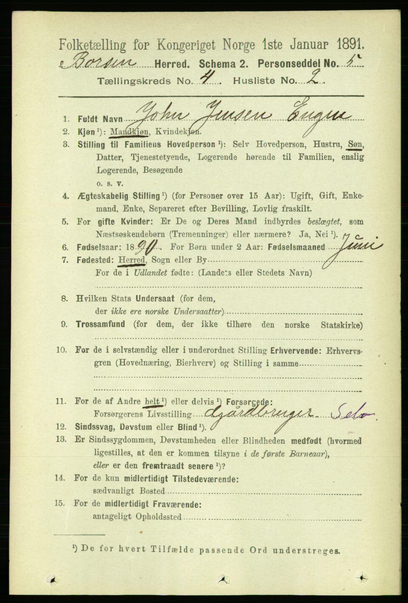 RA, 1891 census for 1658 Børsa, 1891, p. 1471