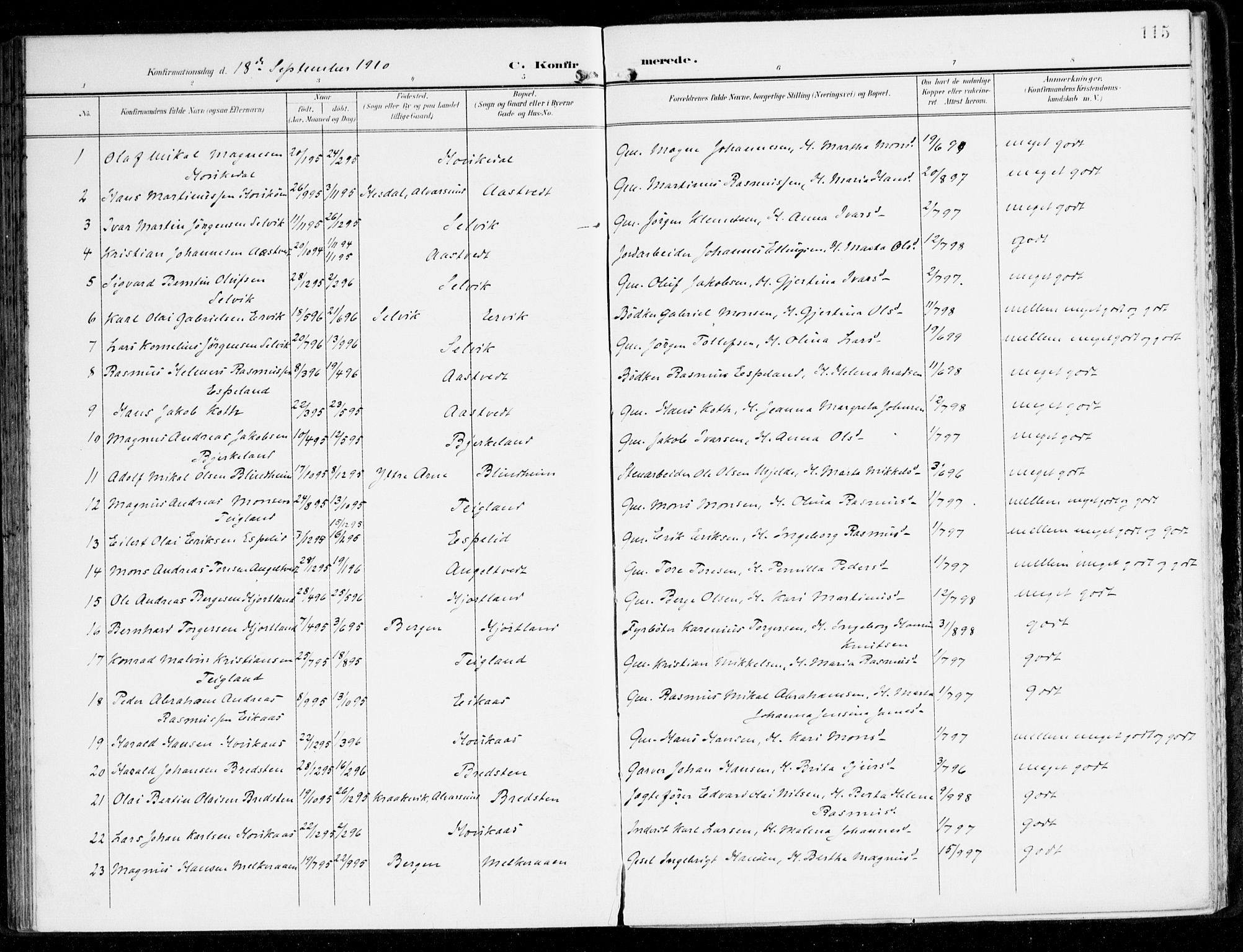 Hamre sokneprestembete, SAB/A-75501/H/Ha/Haa/Haad/L0002: Parish register (official) no. D 2, 1899-1916, p. 115