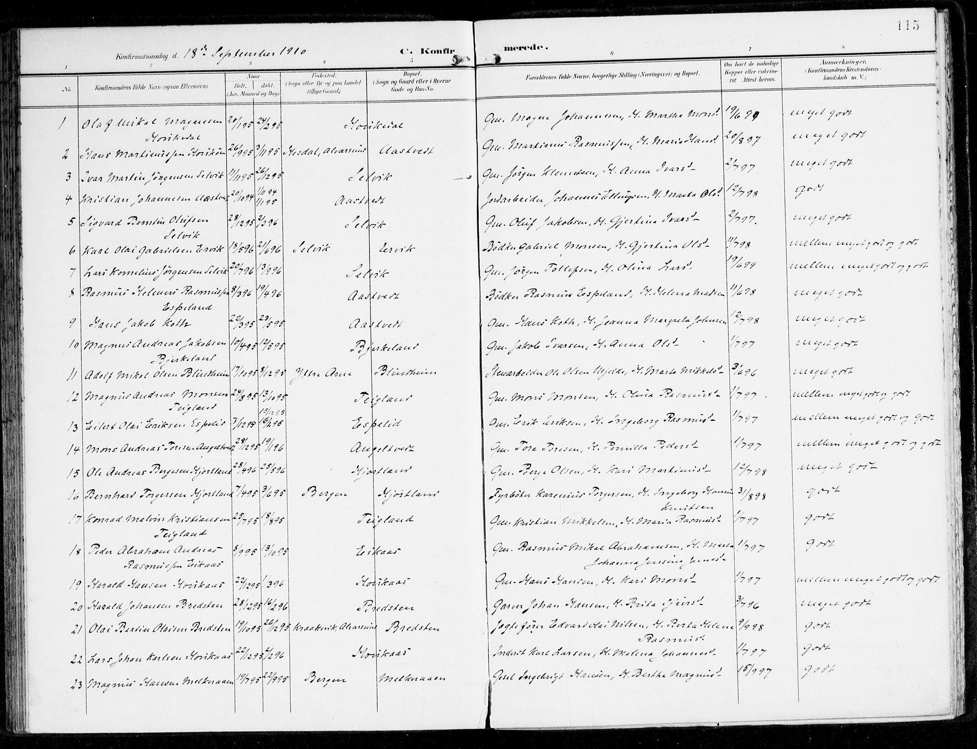 Hamre sokneprestembete, AV/SAB-A-75501/H/Ha/Haa/Haad/L0002: Parish register (official) no. D 2, 1899-1916, p. 115