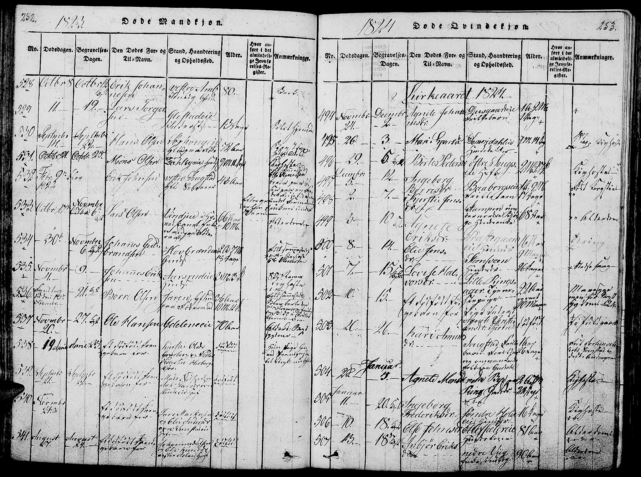 Ringsaker prestekontor, AV/SAH-PREST-014/L/La/L0001: Parish register (copy) no. 1, 1814-1826, p. 252-253