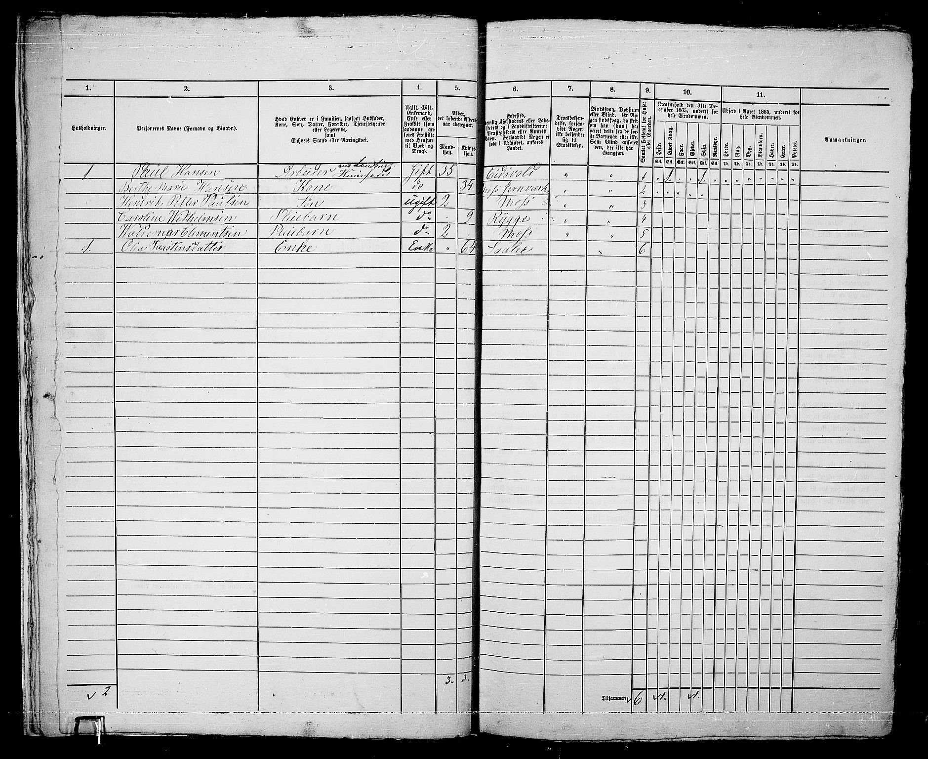 RA, 1865 census for Moss/Moss, 1865, p. 366