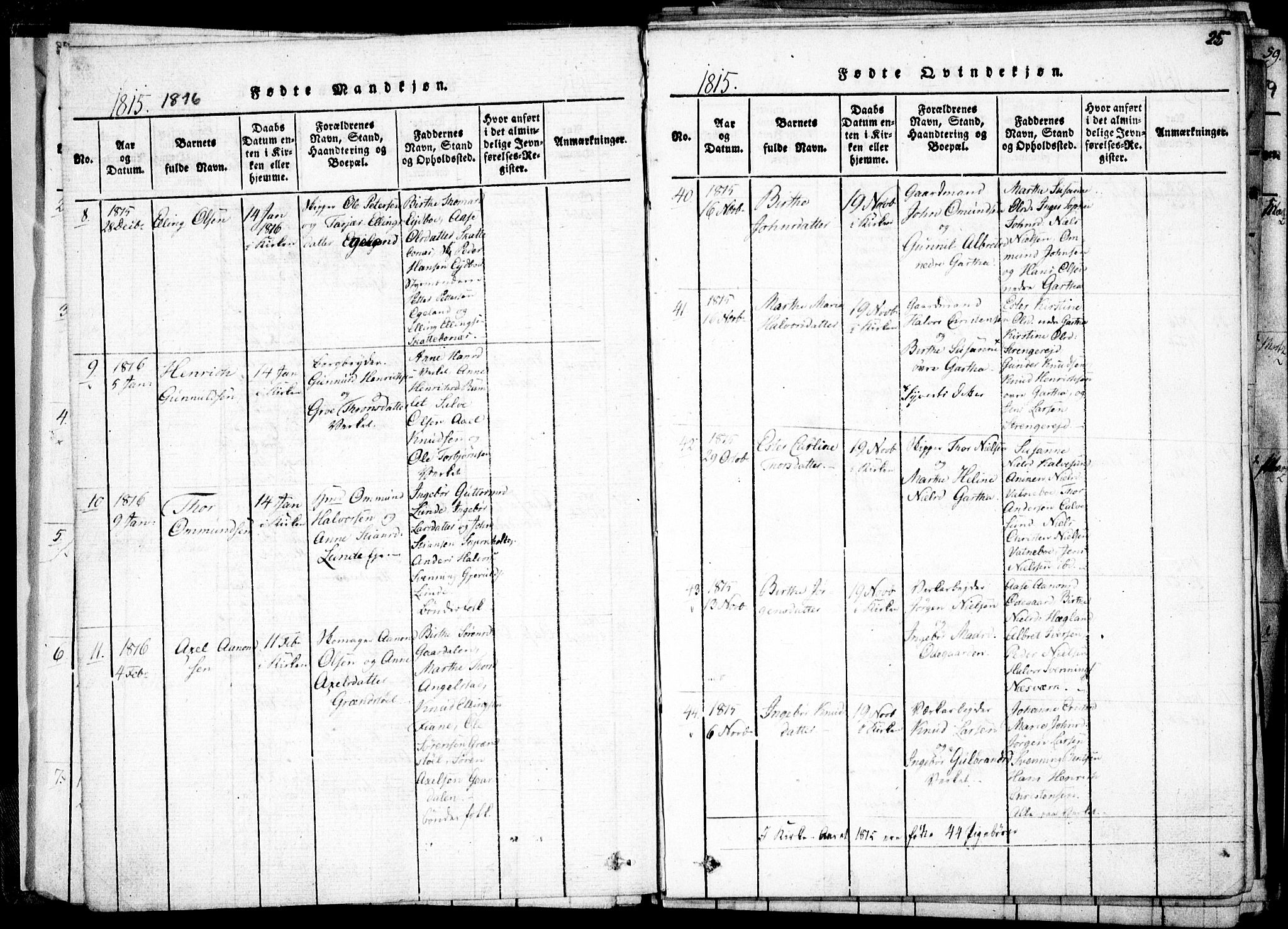 Holt sokneprestkontor, AV/SAK-1111-0021/F/Fa/L0005: Parish register (official) no. A 5, 1813-1821, p. 25