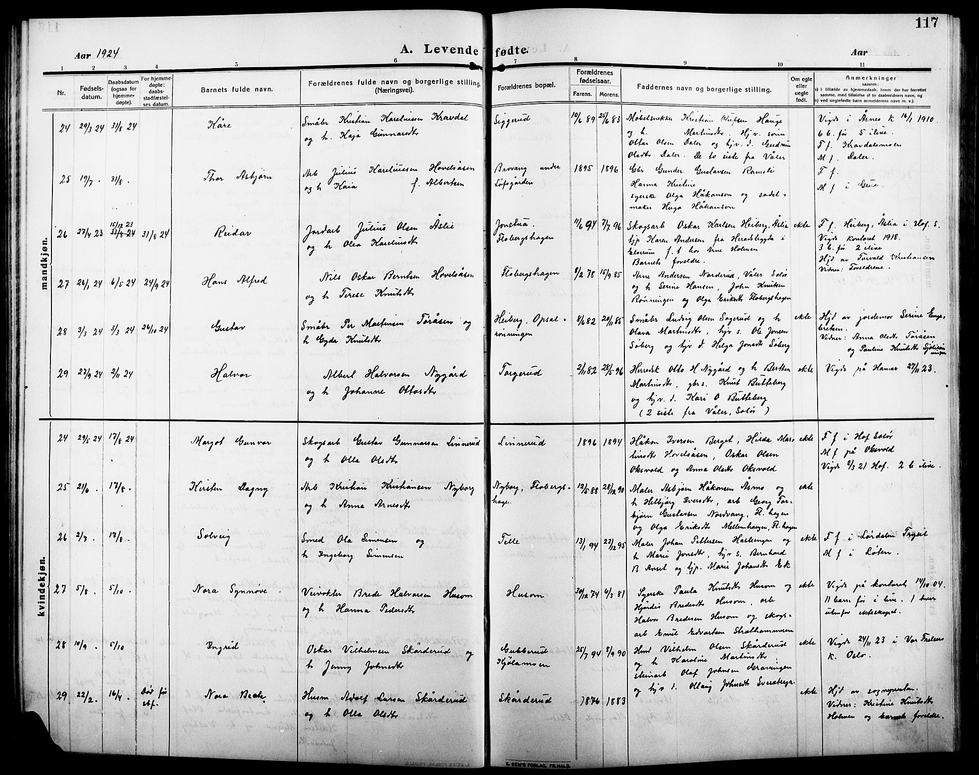 Åsnes prestekontor, AV/SAH-PREST-042/H/Ha/Hab/L0007: Parish register (copy) no. 7, 1909-1926, p. 117