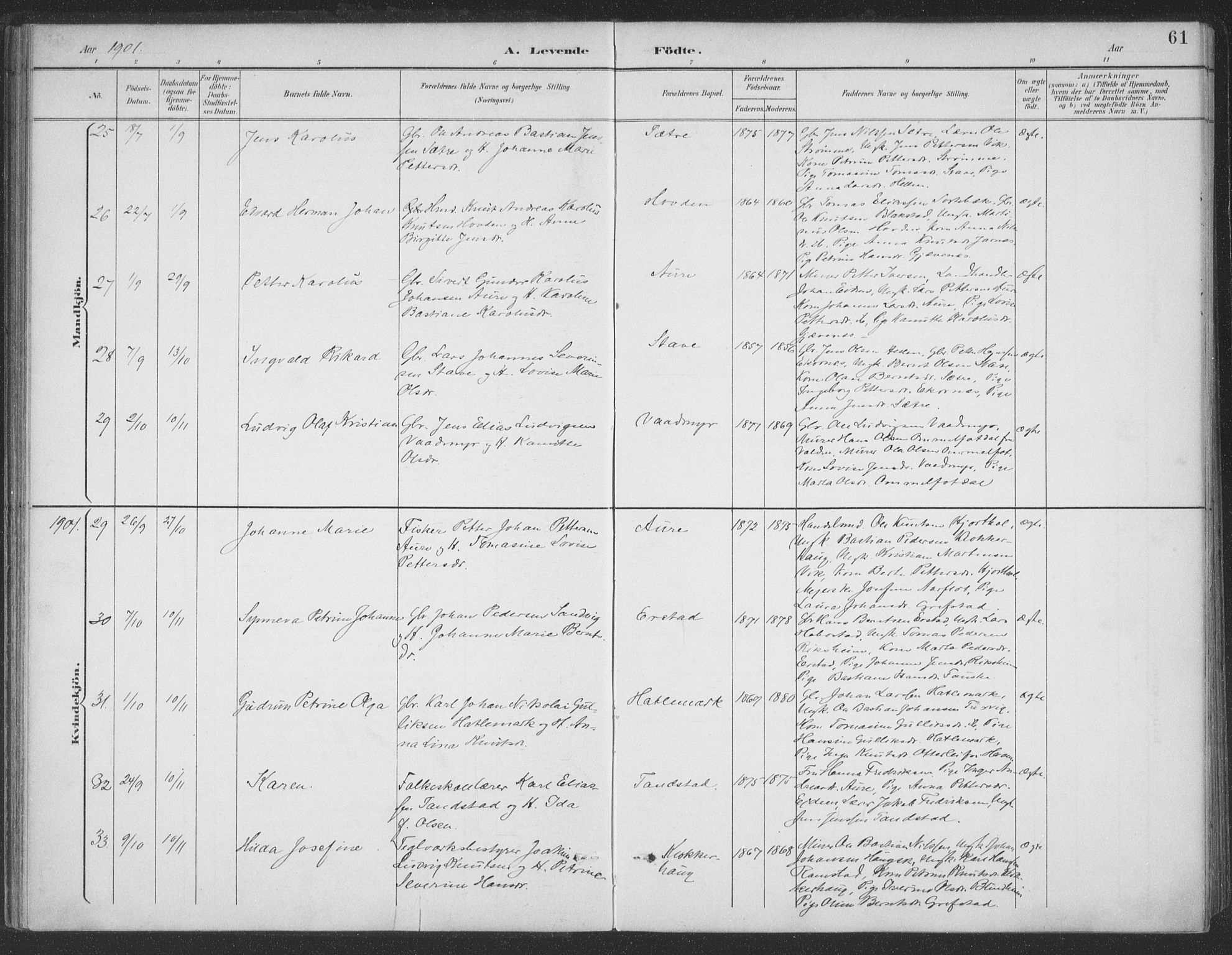 Ministerialprotokoller, klokkerbøker og fødselsregistre - Møre og Romsdal, SAT/A-1454/523/L0335: Parish register (official) no. 523A02, 1891-1911, p. 61