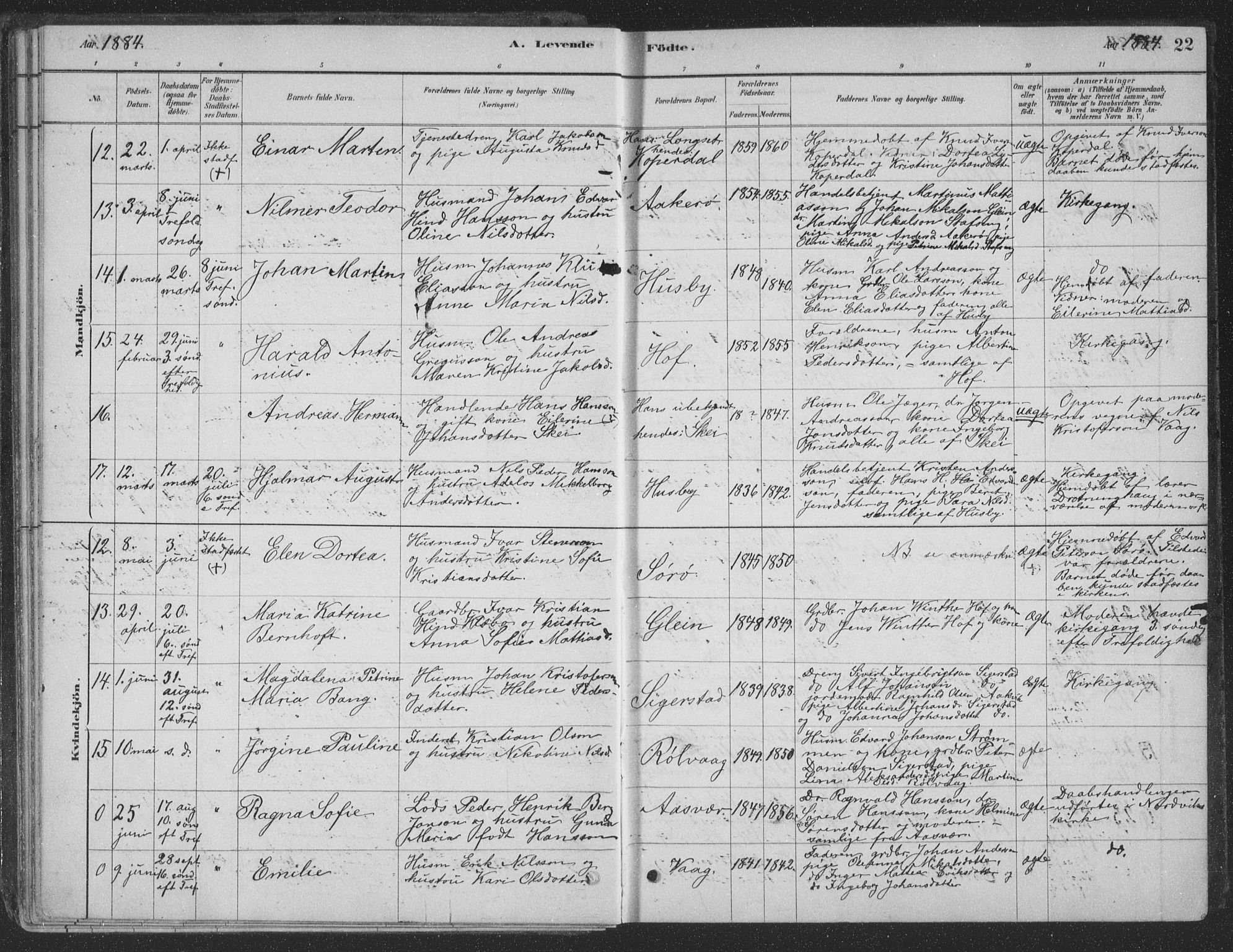 Ministerialprotokoller, klokkerbøker og fødselsregistre - Nordland, AV/SAT-A-1459/835/L0532: Parish register (copy) no. 835C04, 1880-1905, p. 22