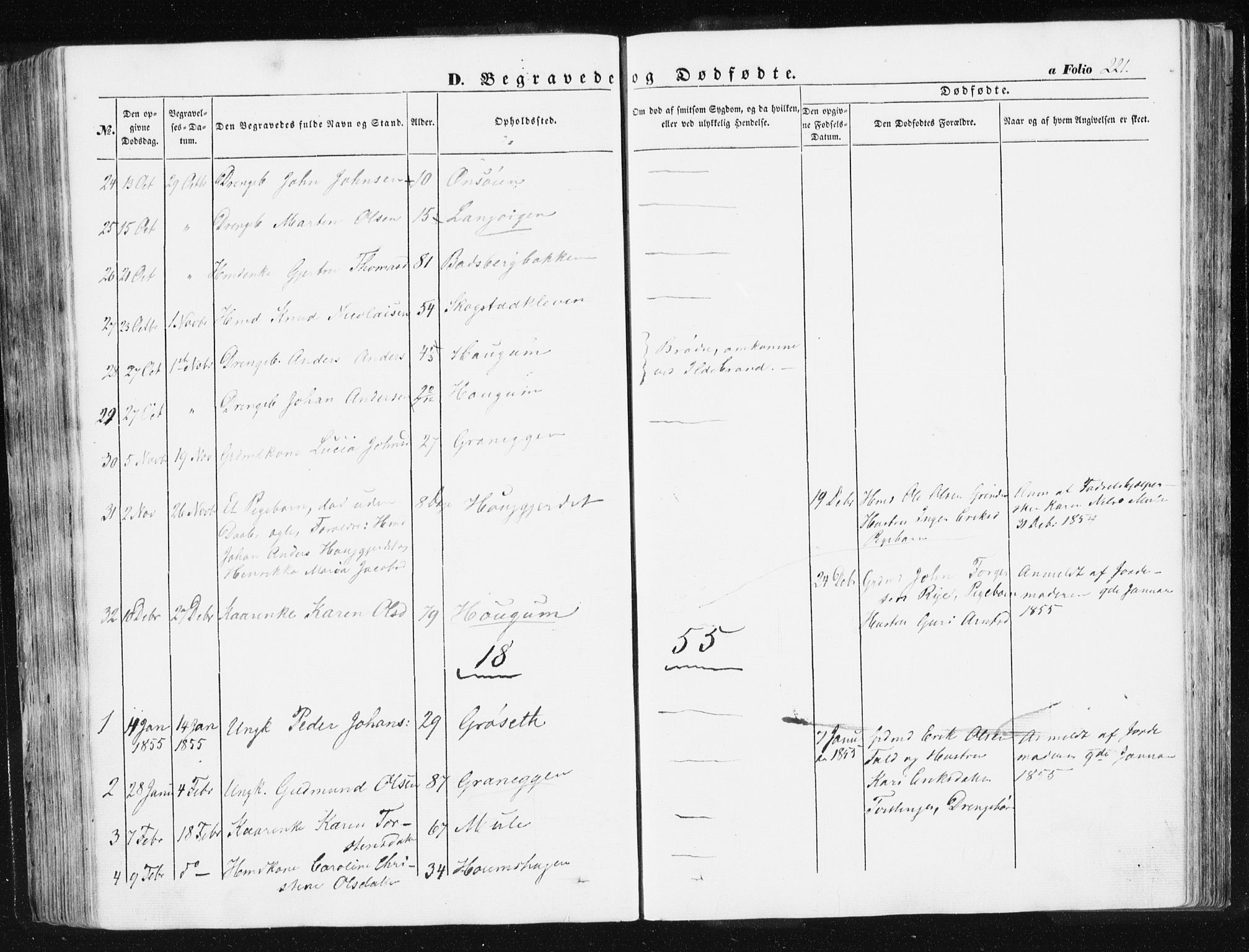Ministerialprotokoller, klokkerbøker og fødselsregistre - Sør-Trøndelag, SAT/A-1456/612/L0376: Parish register (official) no. 612A08, 1846-1859, p. 221