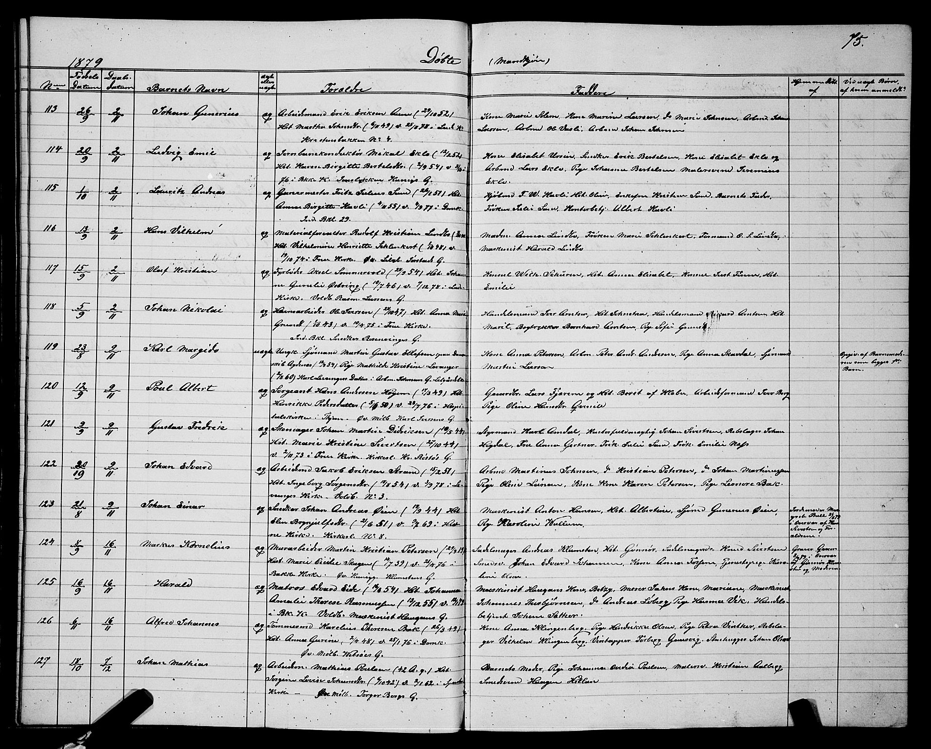 Ministerialprotokoller, klokkerbøker og fødselsregistre - Sør-Trøndelag, SAT/A-1456/604/L0220: Parish register (copy) no. 604C03, 1870-1885, p. 75