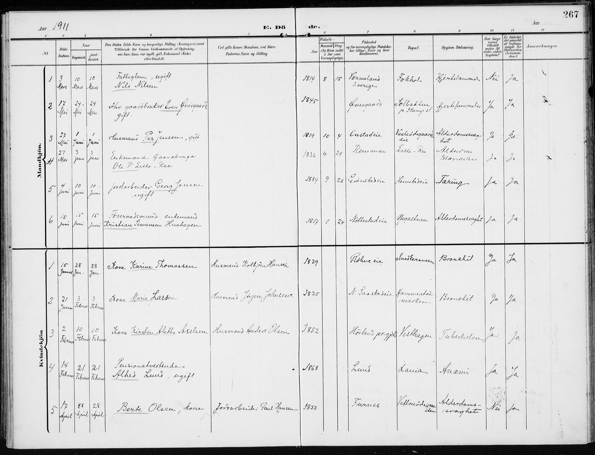 Stange prestekontor, SAH/PREST-002/K/L0024: Parish register (official) no. 24, 1906-1922, p. 267