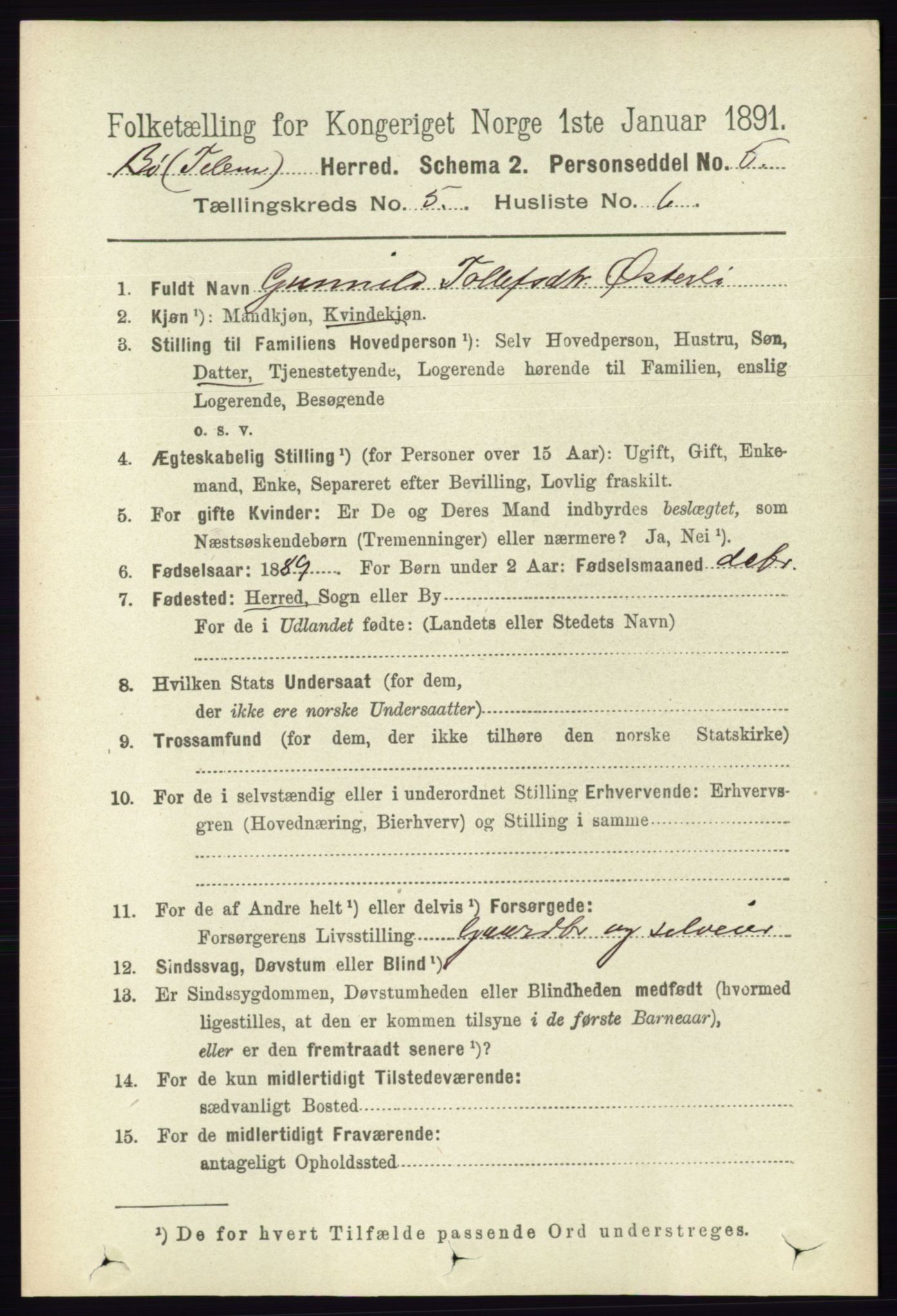 RA, 1891 census for 0821 Bø, 1891, p. 1451