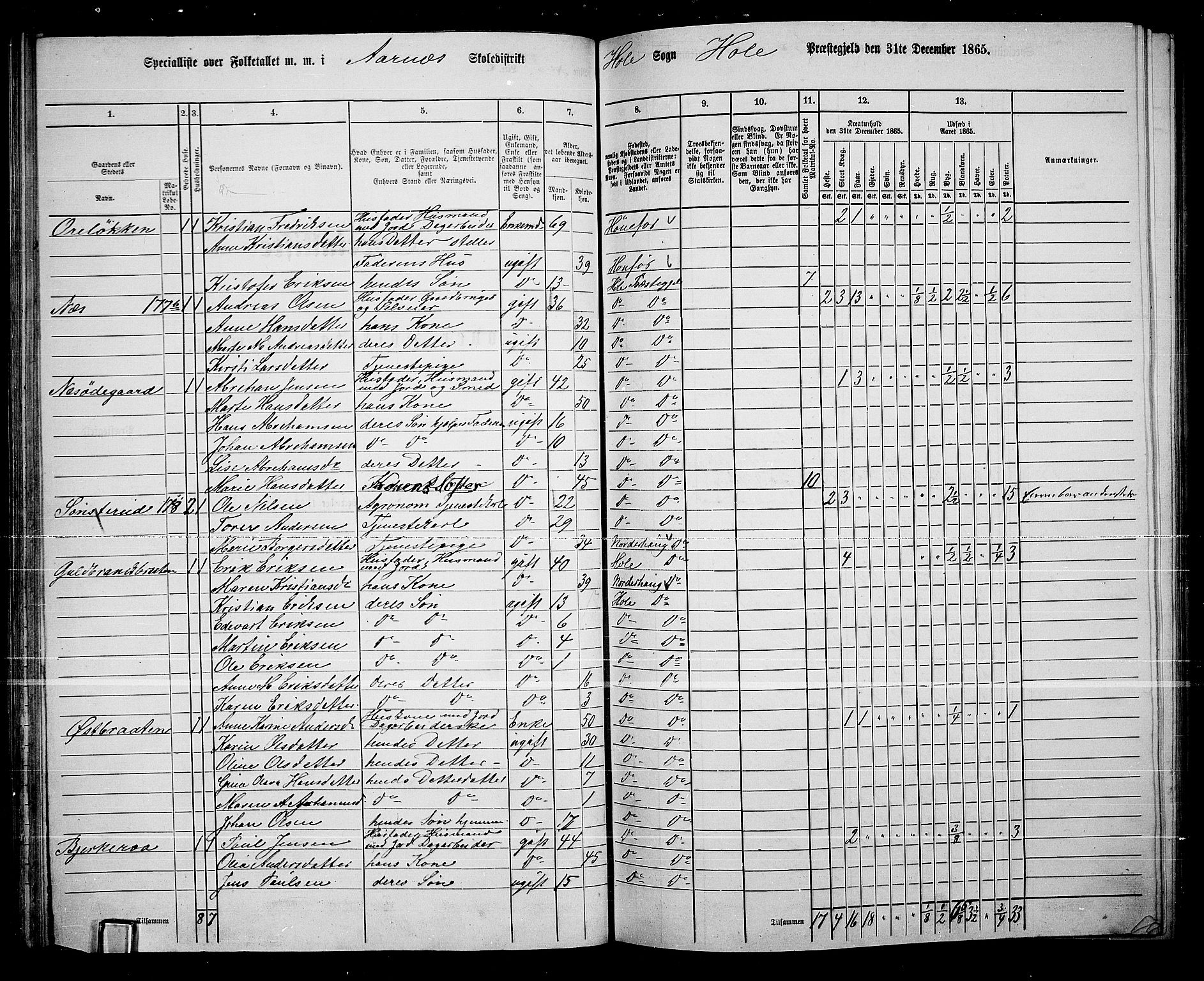RA, 1865 census for Hole, 1865, p. 63