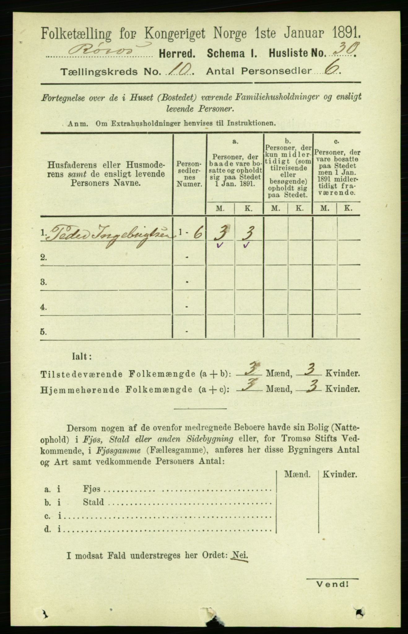 RA, 1891 census for 1640 Røros, 1891, p. 2013