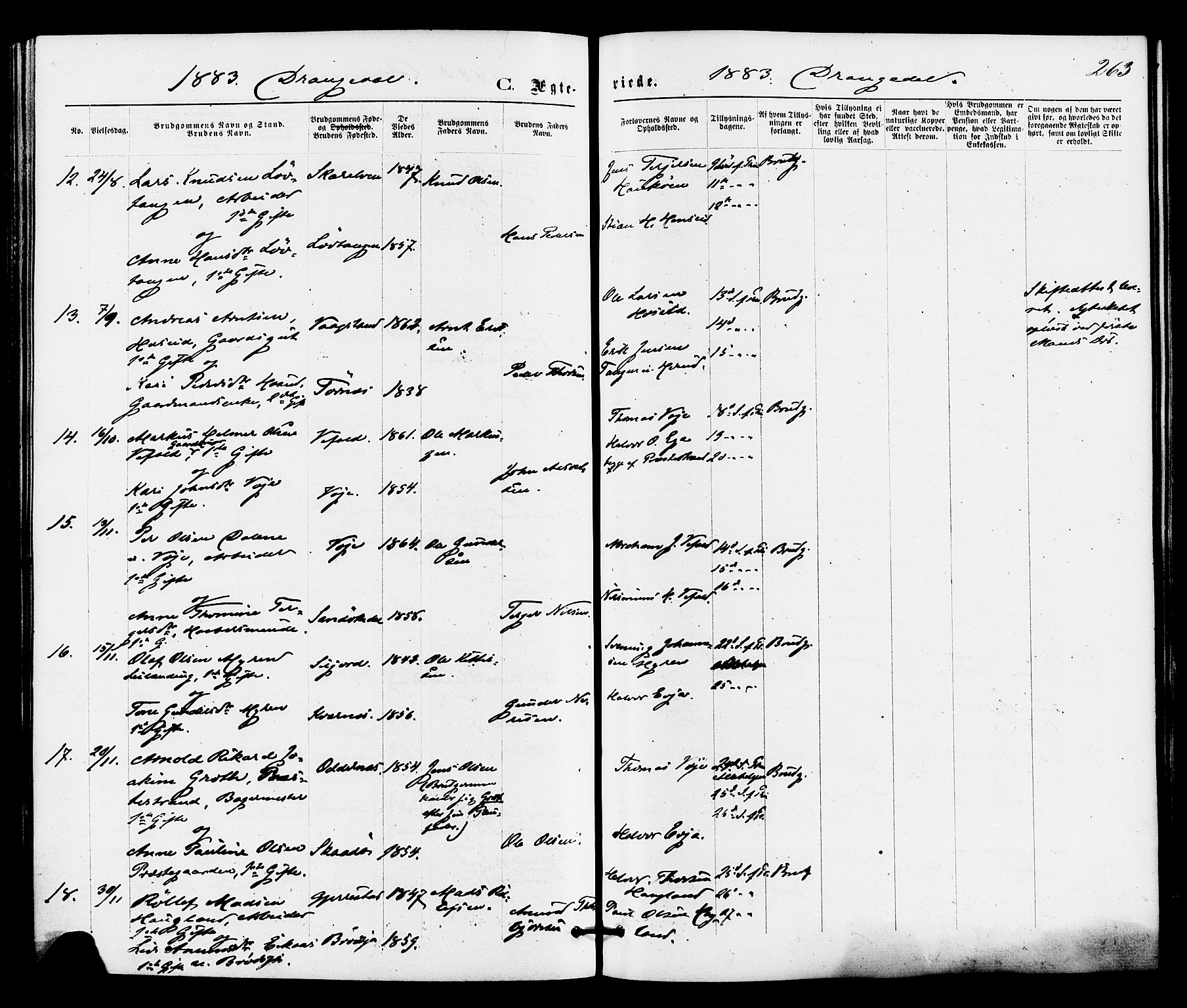 Drangedal kirkebøker, SAKO/A-258/F/Fa/L0009: Parish register (official) no. 9 /1, 1872-1884, p. 263