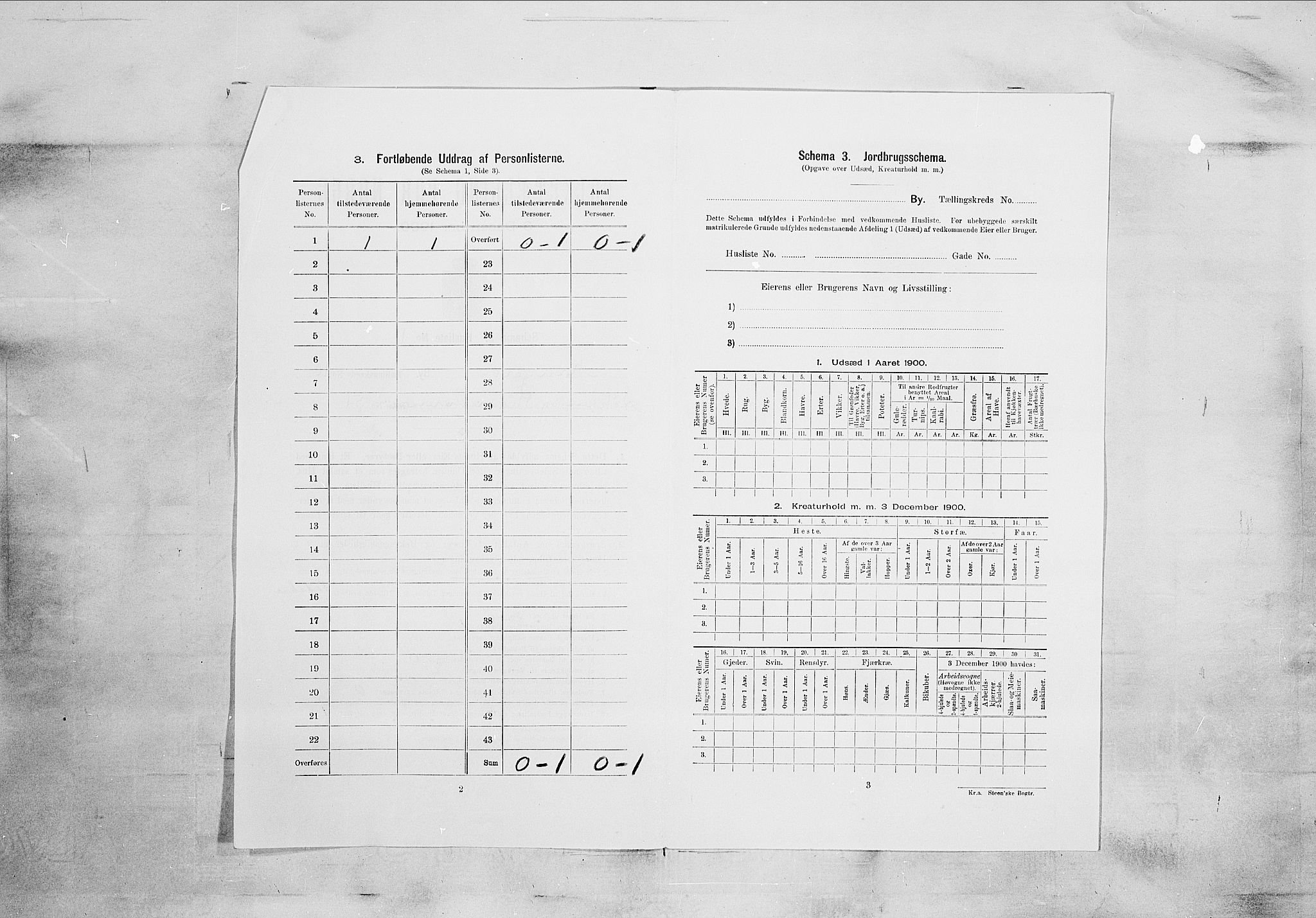 SAKO, 1900 census for Kragerø, 1900, p. 1218