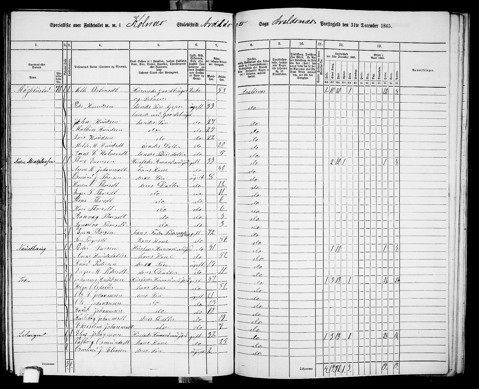 RA, 1865 census for Avaldsnes, 1865, p. 210