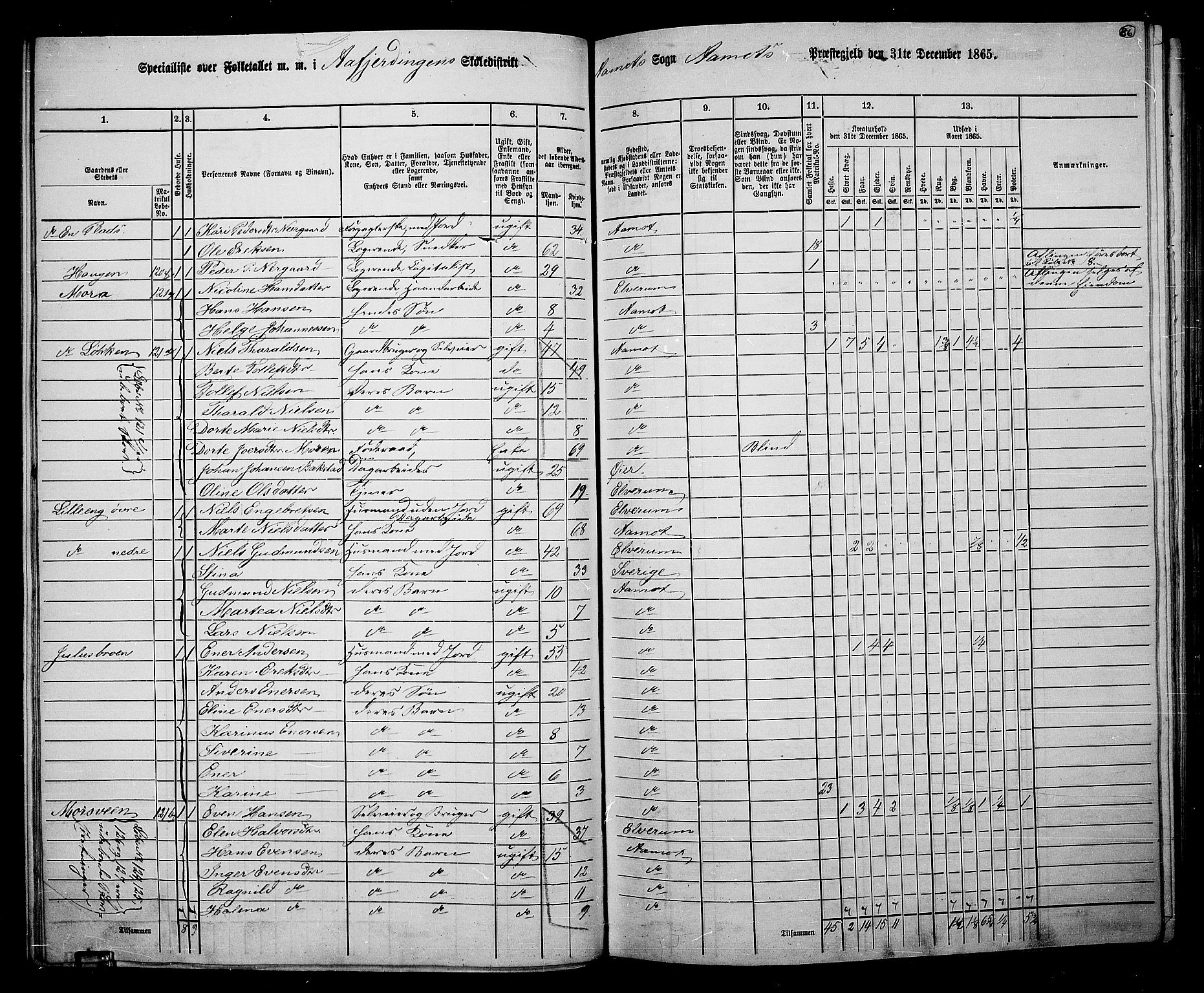 RA, 1865 census for Åmot, 1865, p. 81