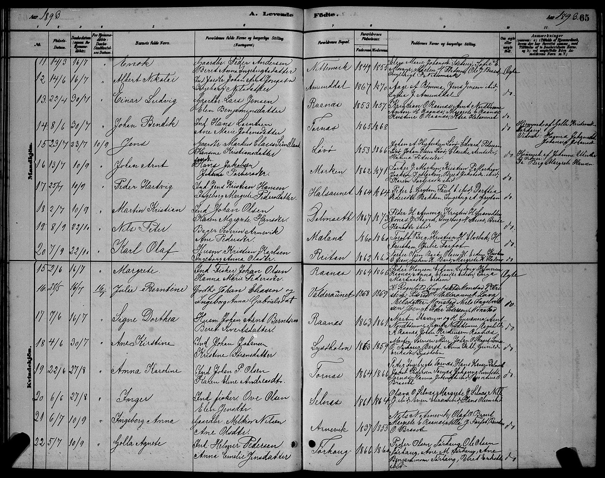 Ministerialprotokoller, klokkerbøker og fødselsregistre - Sør-Trøndelag, AV/SAT-A-1456/655/L0687: Parish register (copy) no. 655C03, 1880-1898, p. 65