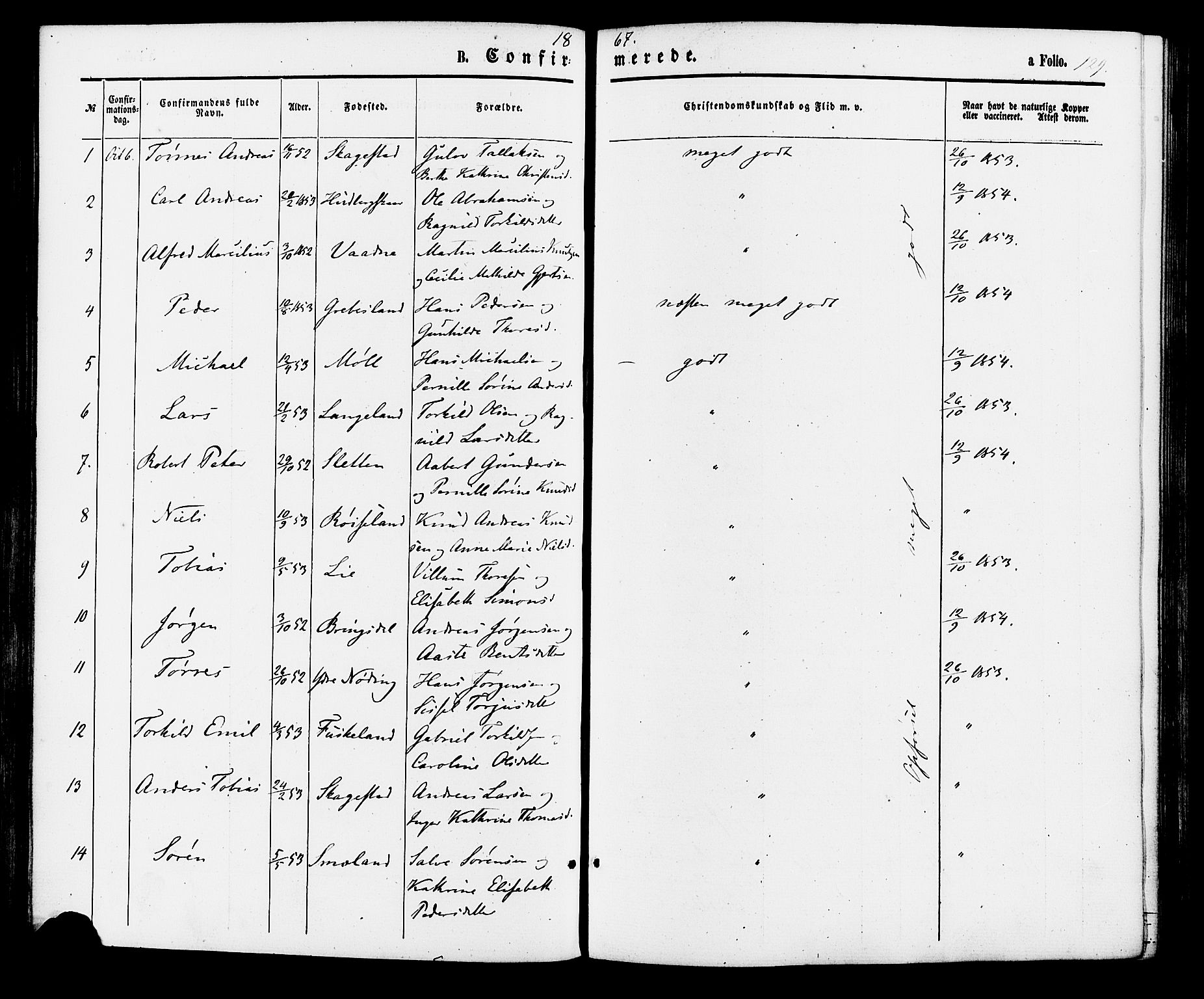 Holum sokneprestkontor, AV/SAK-1111-0022/F/Fa/Faa/L0006: Parish register (official) no. A 6, 1865-1883, p. 129