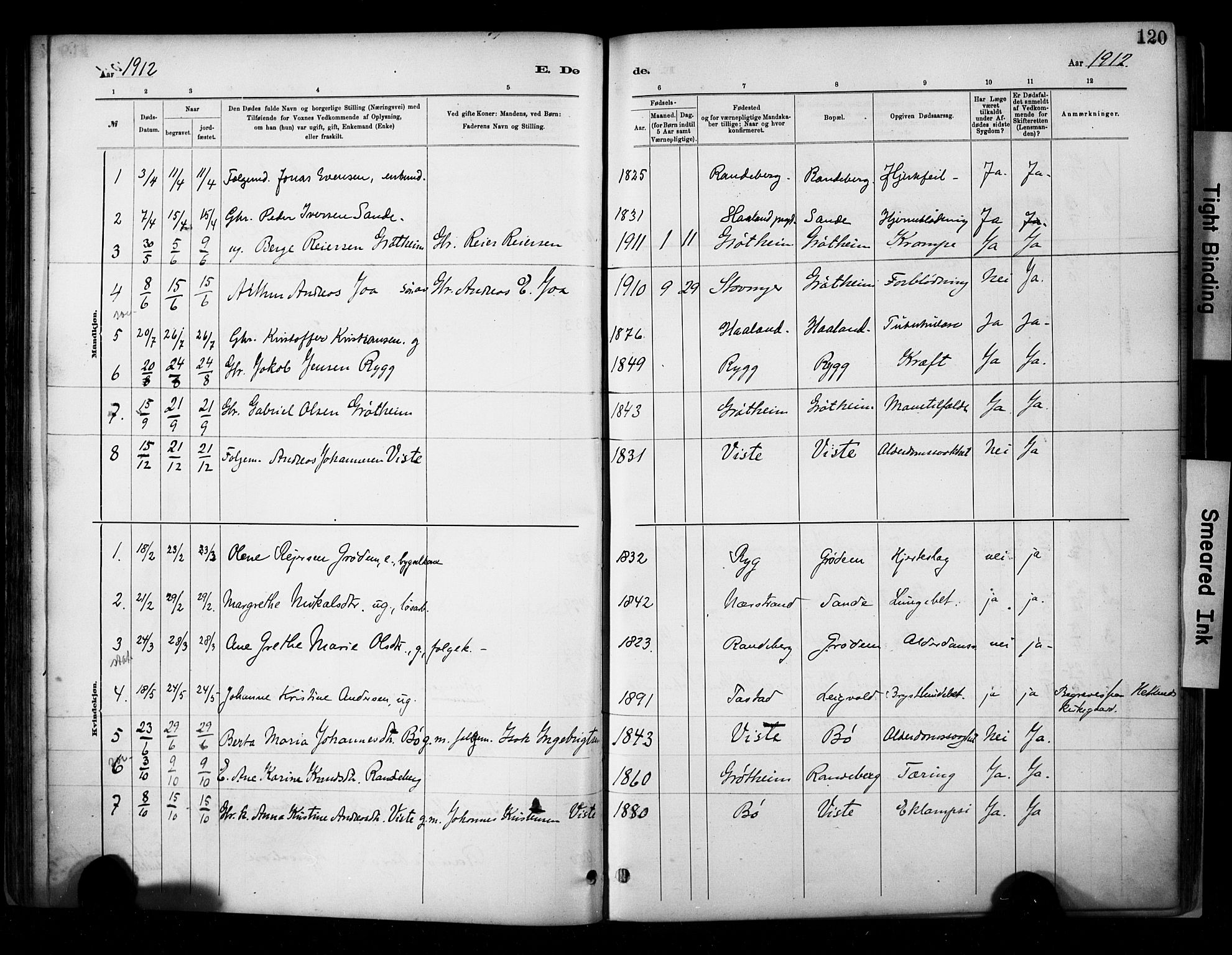 Hetland sokneprestkontor, SAST/A-101826/30/30BA/L0009: Parish register (official) no. A 9, 1882-1918, p. 120