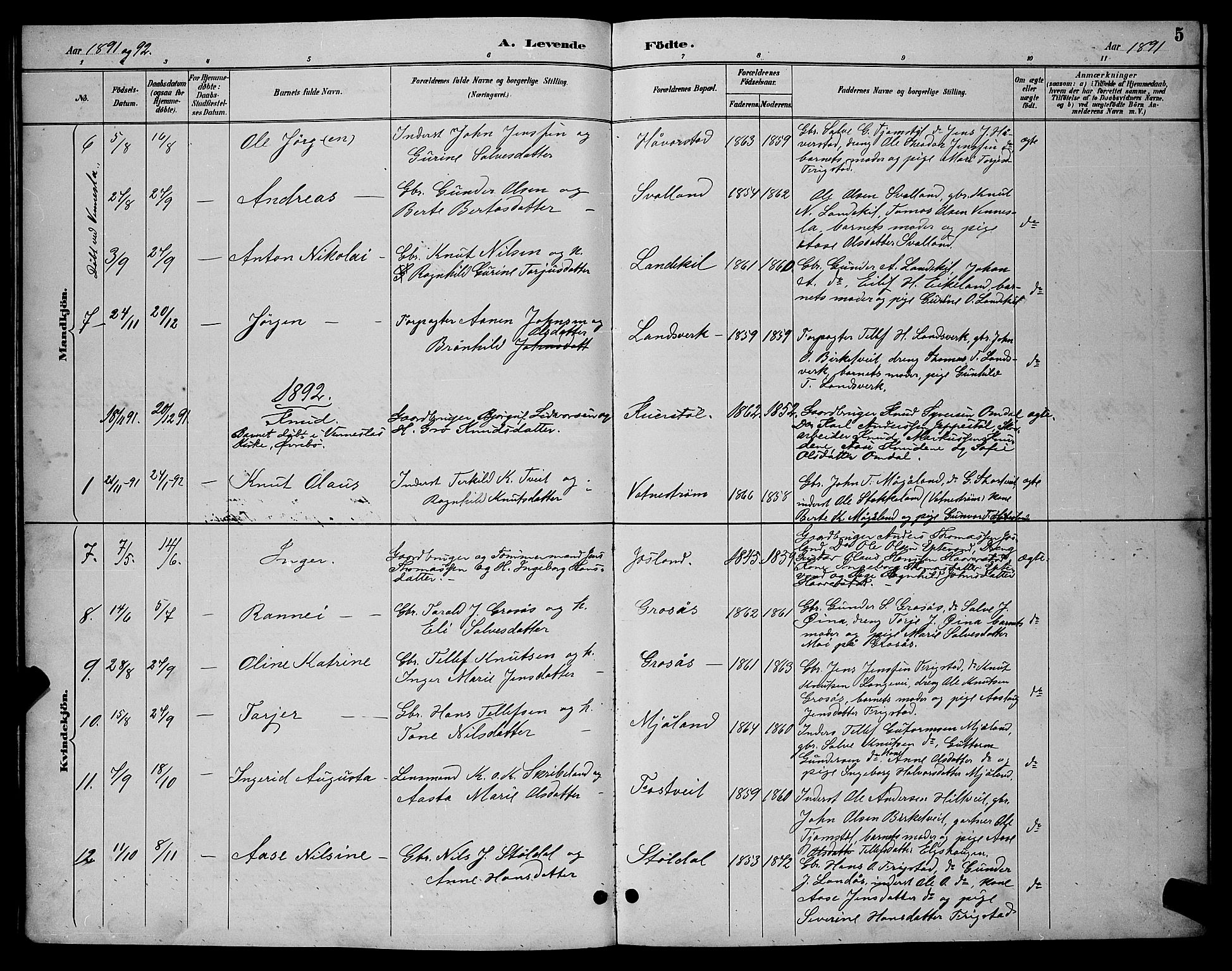 Evje sokneprestkontor, AV/SAK-1111-0008/F/Fb/Fbc/L0004: Parish register (copy) no. B 4, 1890-1900, p. 5